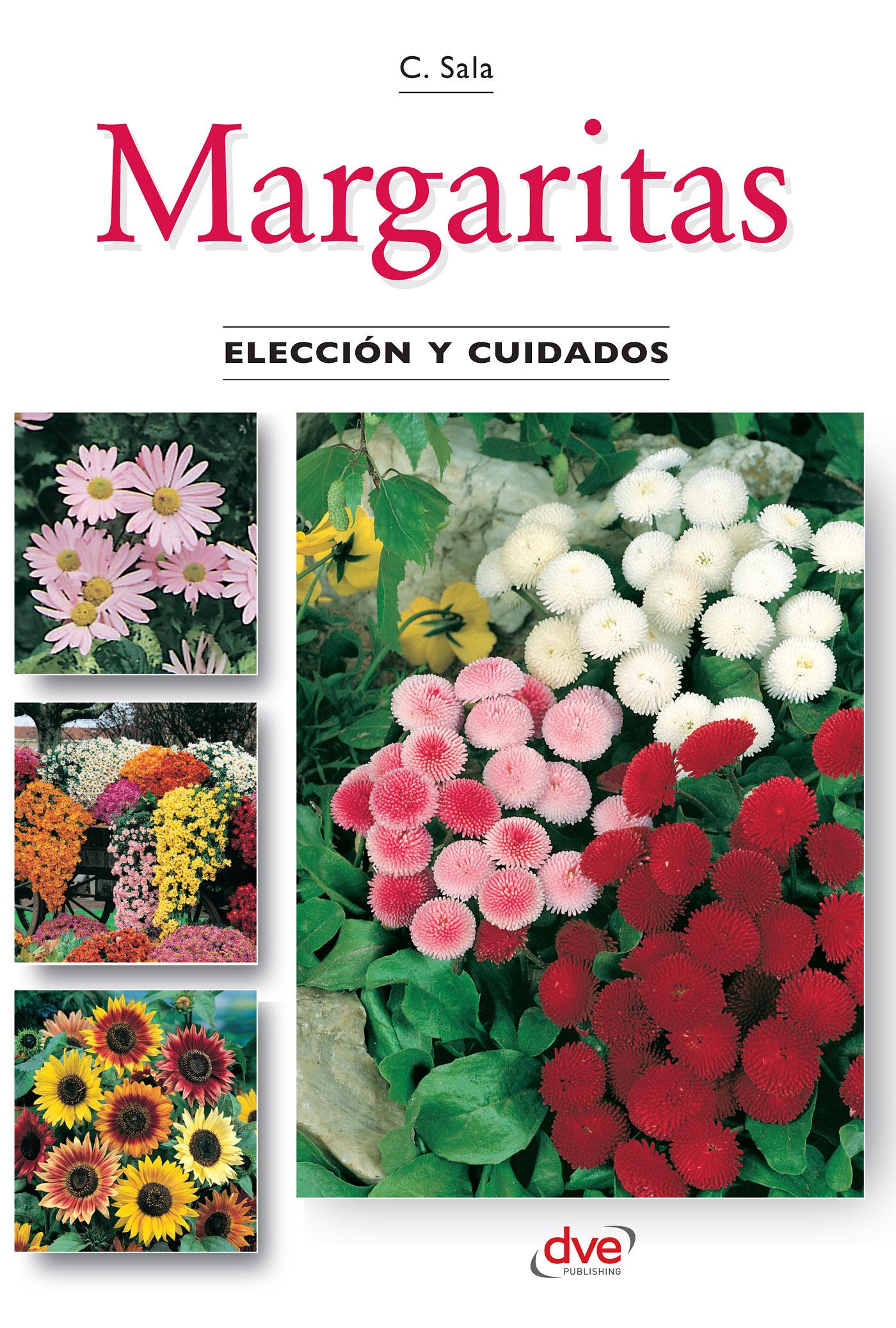 MARGARITAS - ELECCIÓN Y CUIDADOS
