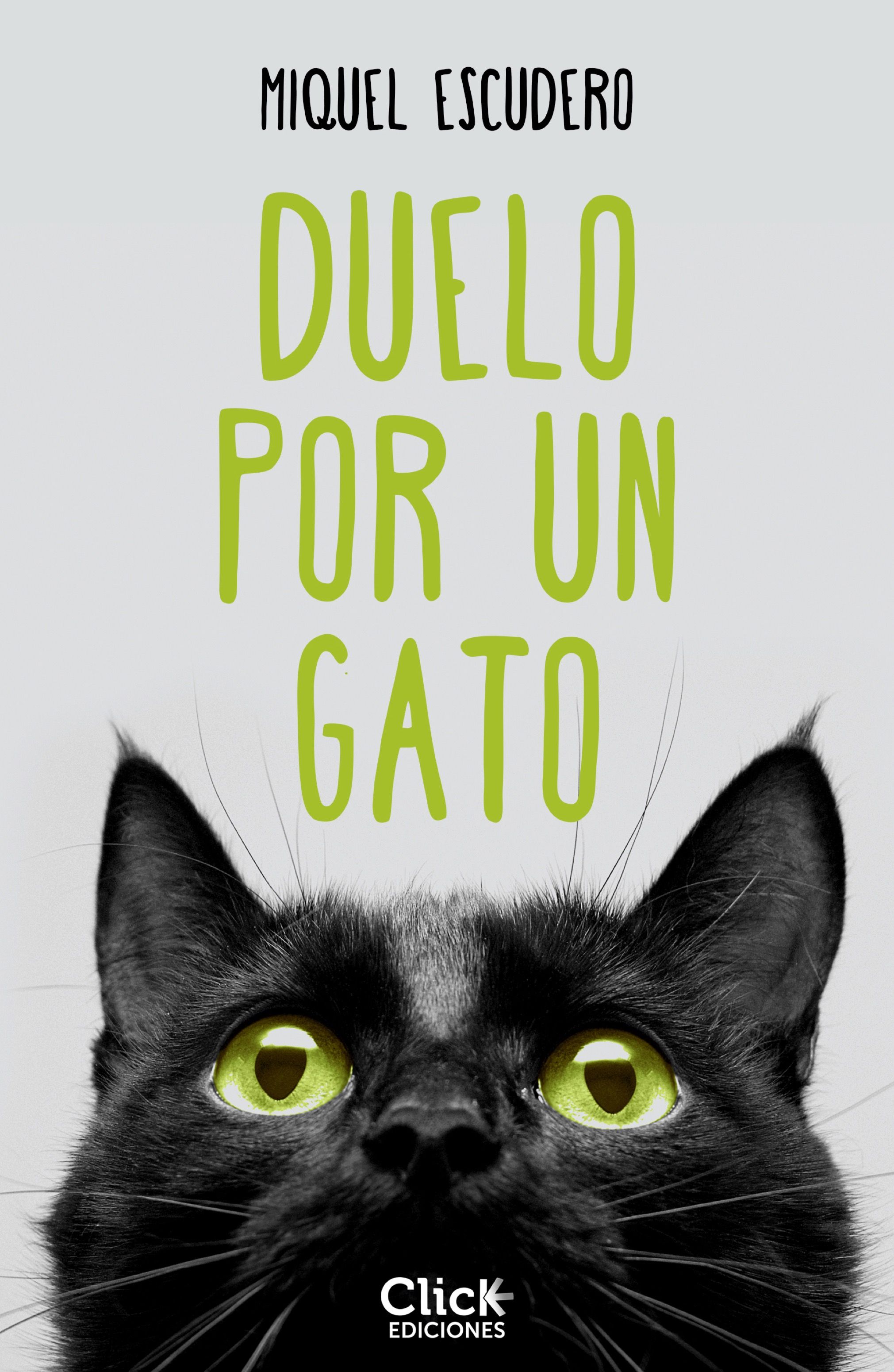DUELO POR UN GATO