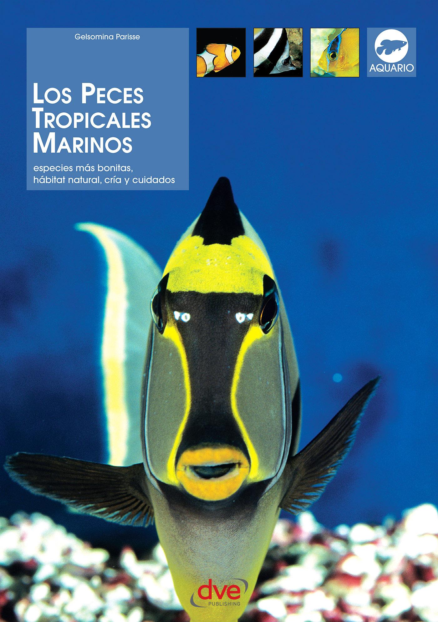 LOS PECES TROPICALES MARINOS