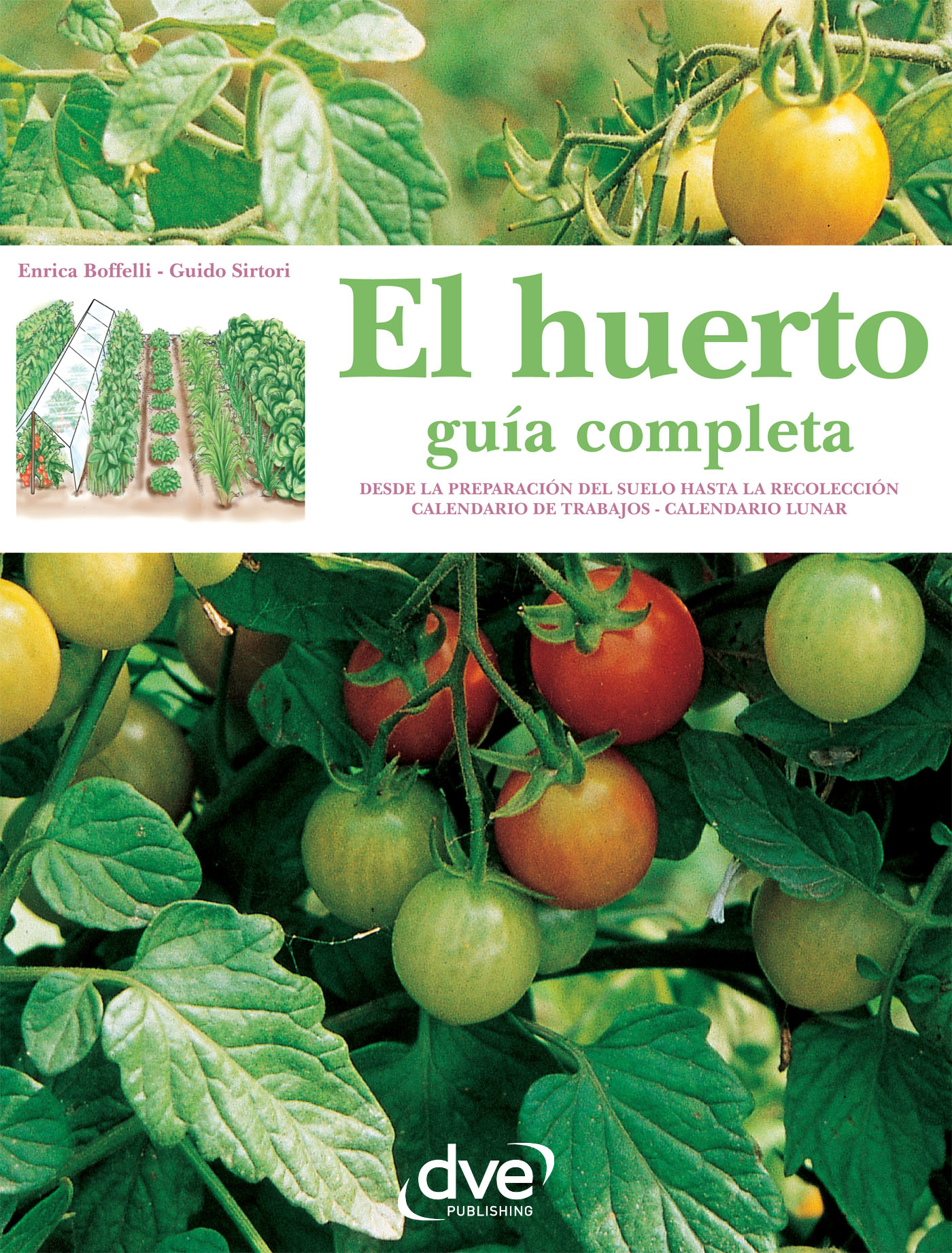 EL HUERTO: GUÍA COMPLETA