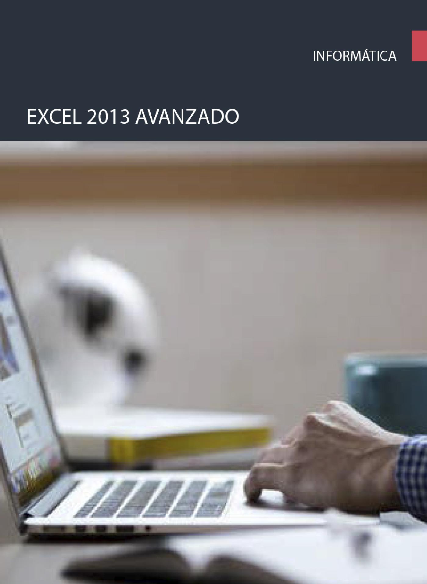 EXCEL 2013 AVANZADO