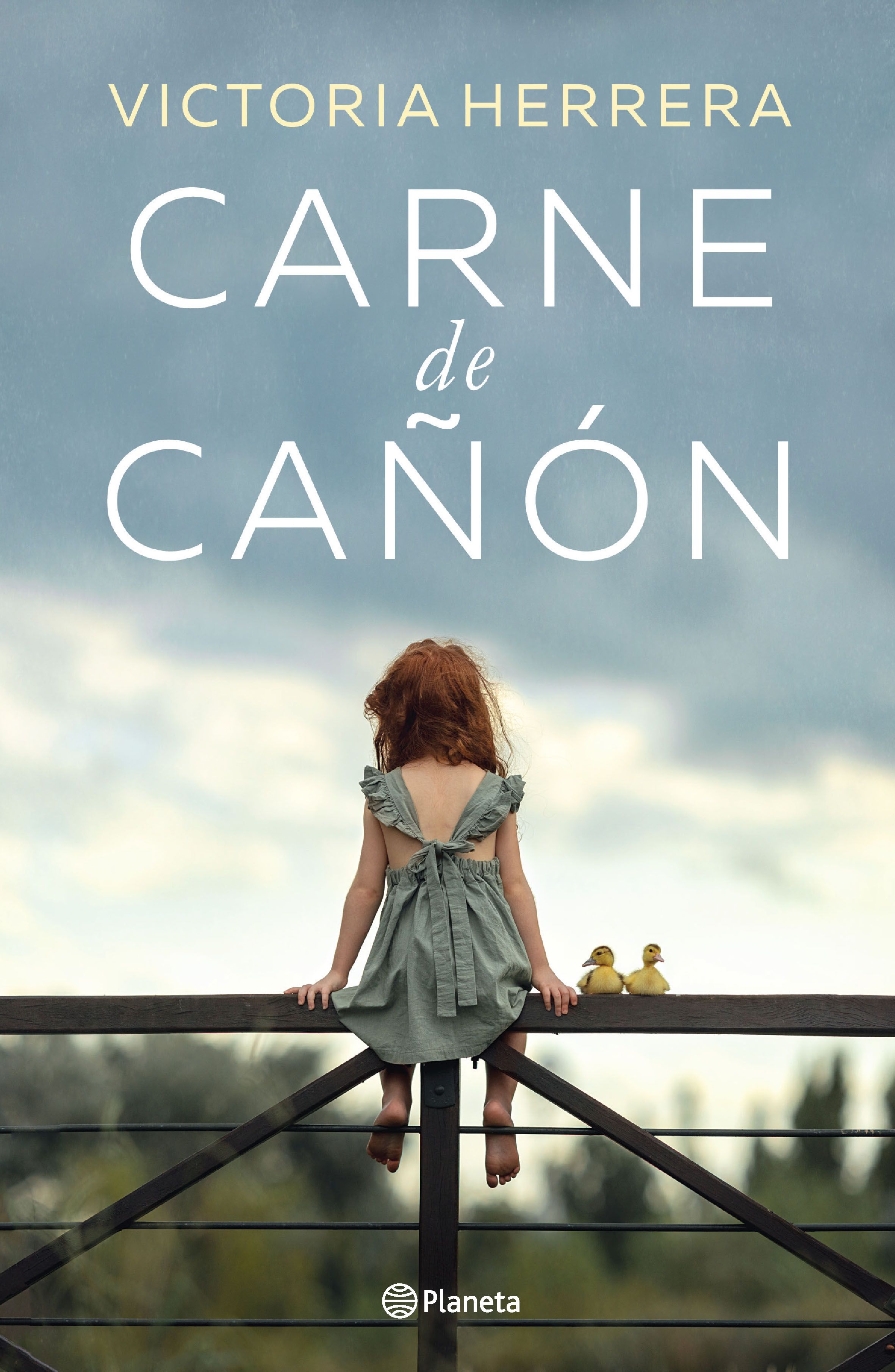 CARNE DE CAÑÓN