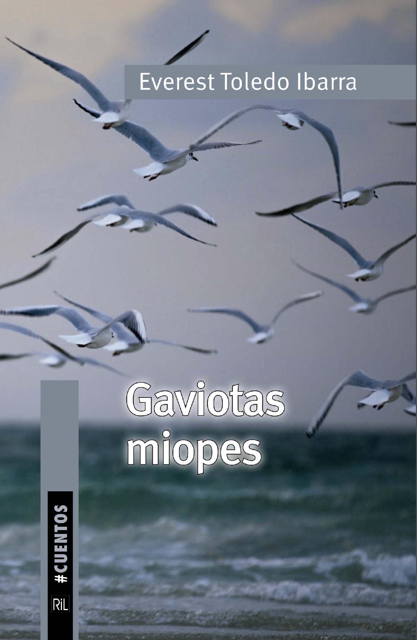 GAVIOTAS MIOPES