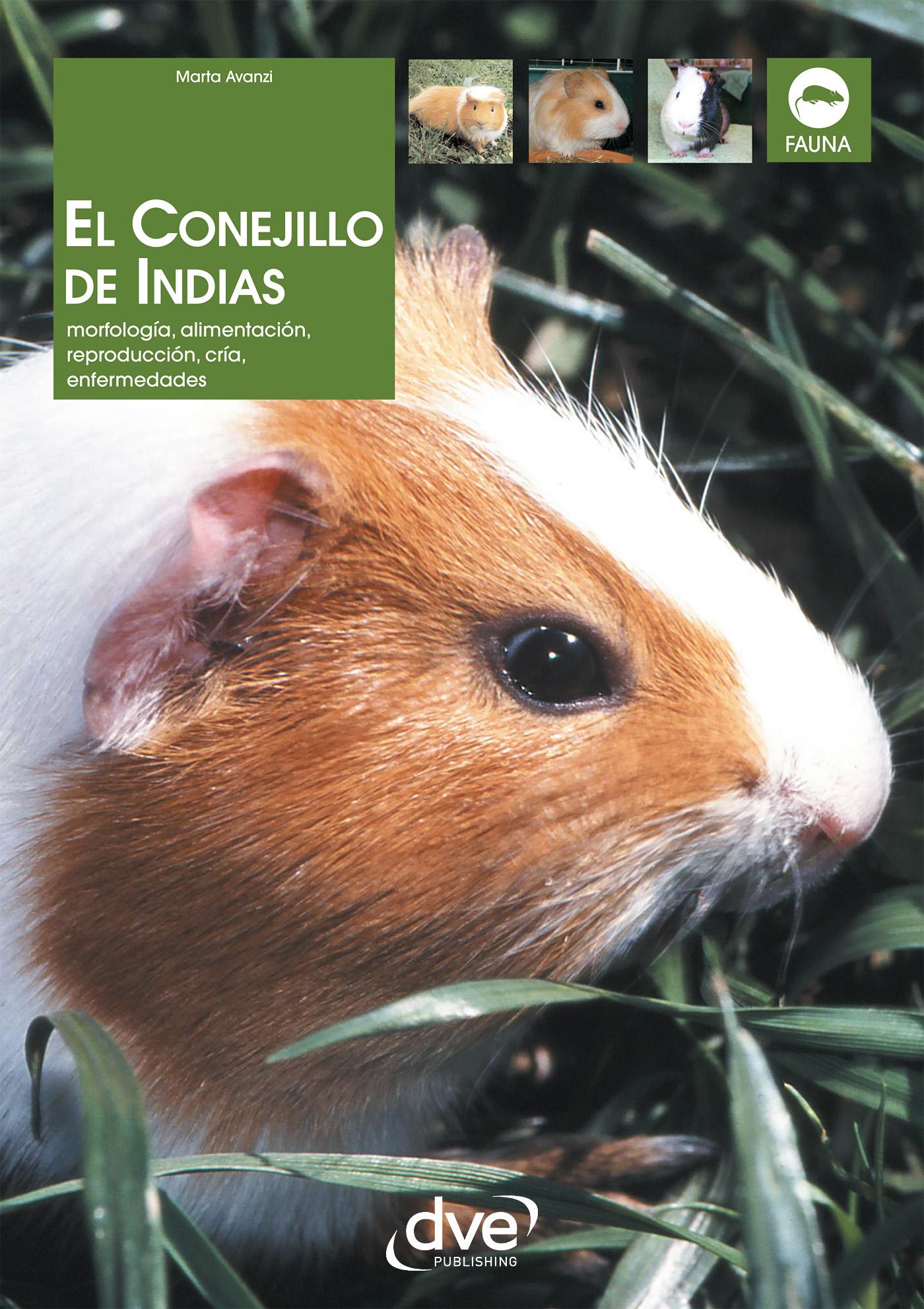 EL CONEJILLO DE INDIAS. MORFOLOGÍA, ALIMENTACIÓN, REPRODUCCIÓN, PREVENCIÓN Y TRATAMIENTO DE LAS ENFERMEDADES