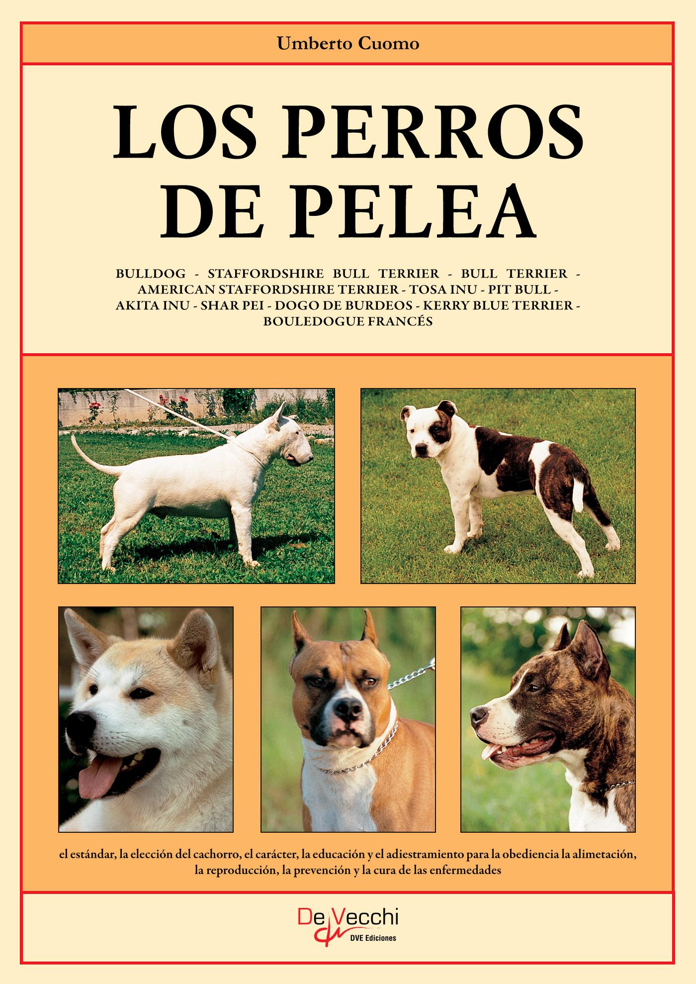 LOS PERROS DE PELEA 