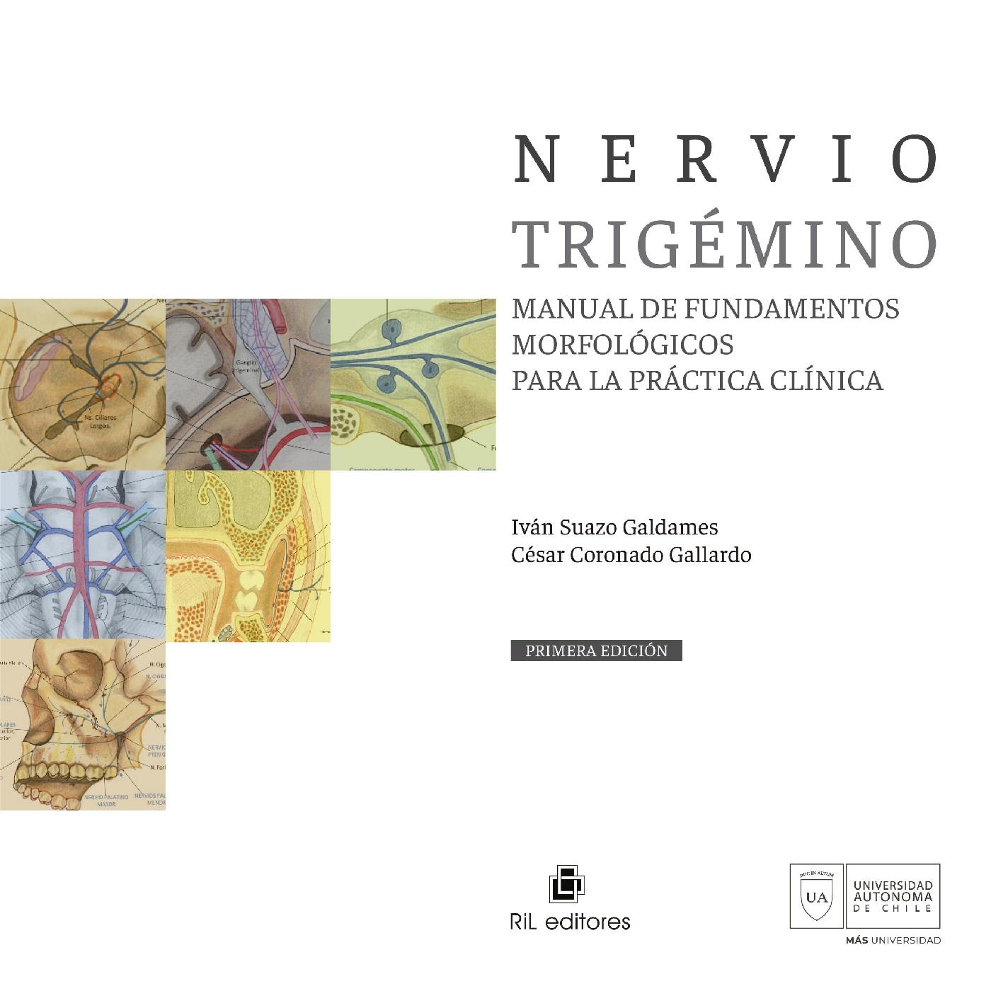 NERVIO TRIGÉMINO. MANUAL DE FUNDAMENTOS MORFOLÓGICOS PARA LA PRÁCTICA CLÍNICA