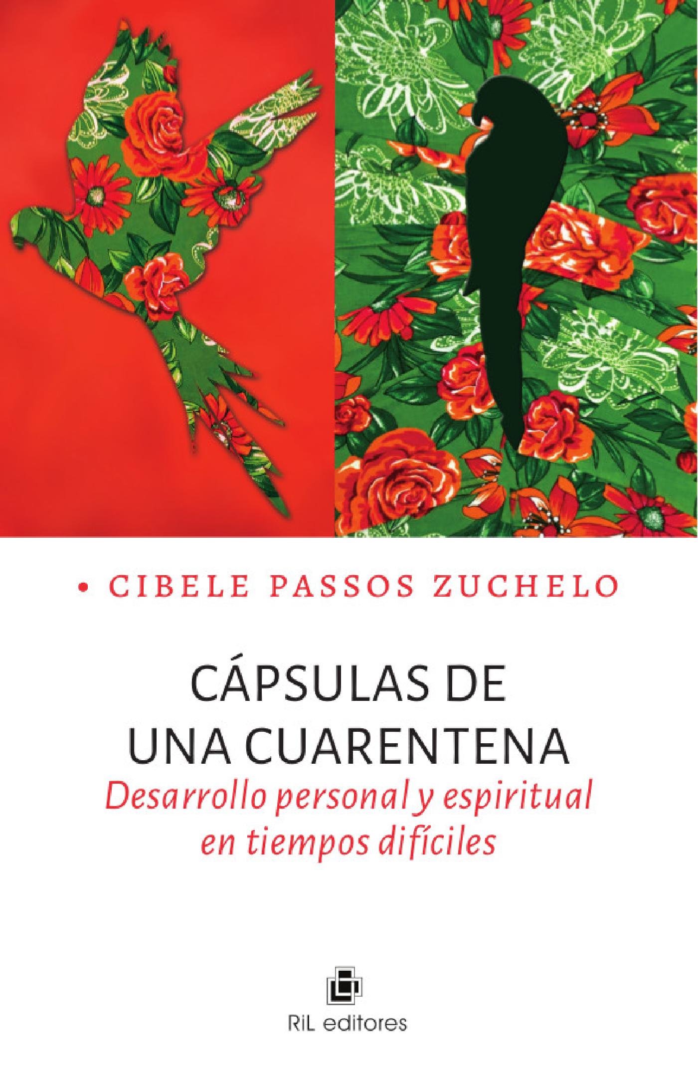 CÁPSULAS DE UNA CUARENTENA: DESARROLLO PERSONAL Y ESPIRITUAL EN TIEMPOS DIFÍCILES 