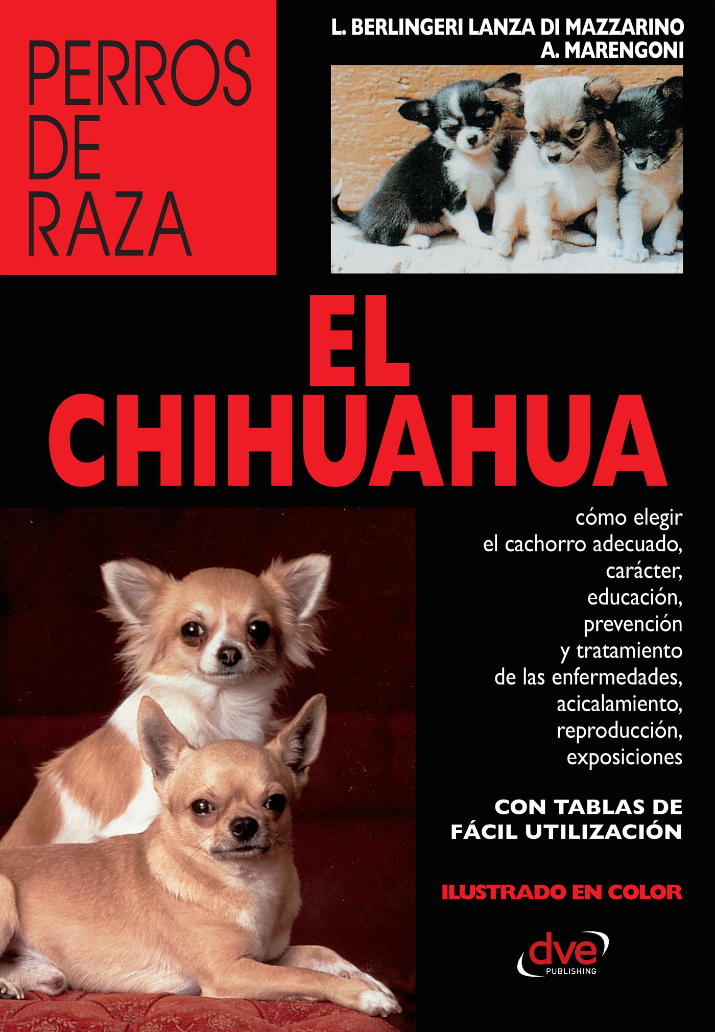 EL CHIHUAHUA