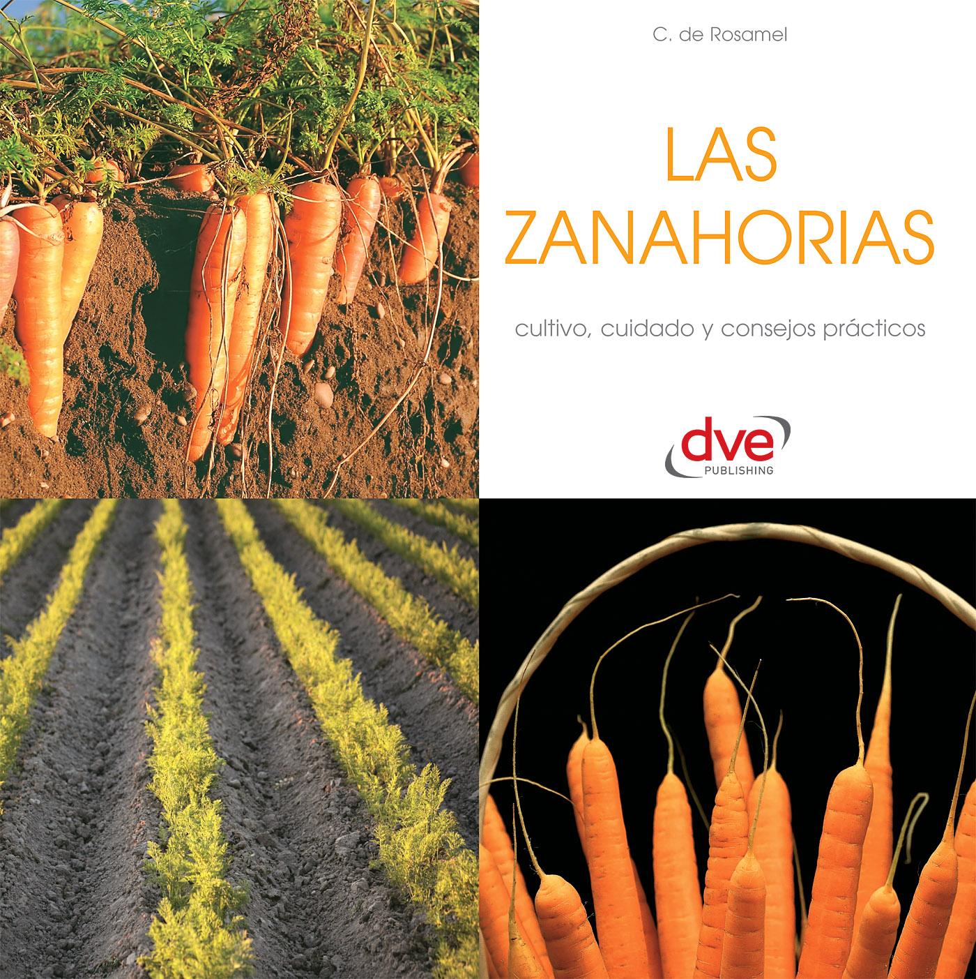 LAS ZANAHORIAS