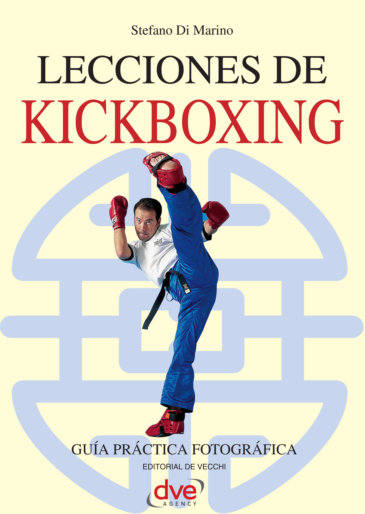 LECCIONES DE KICKBOXING