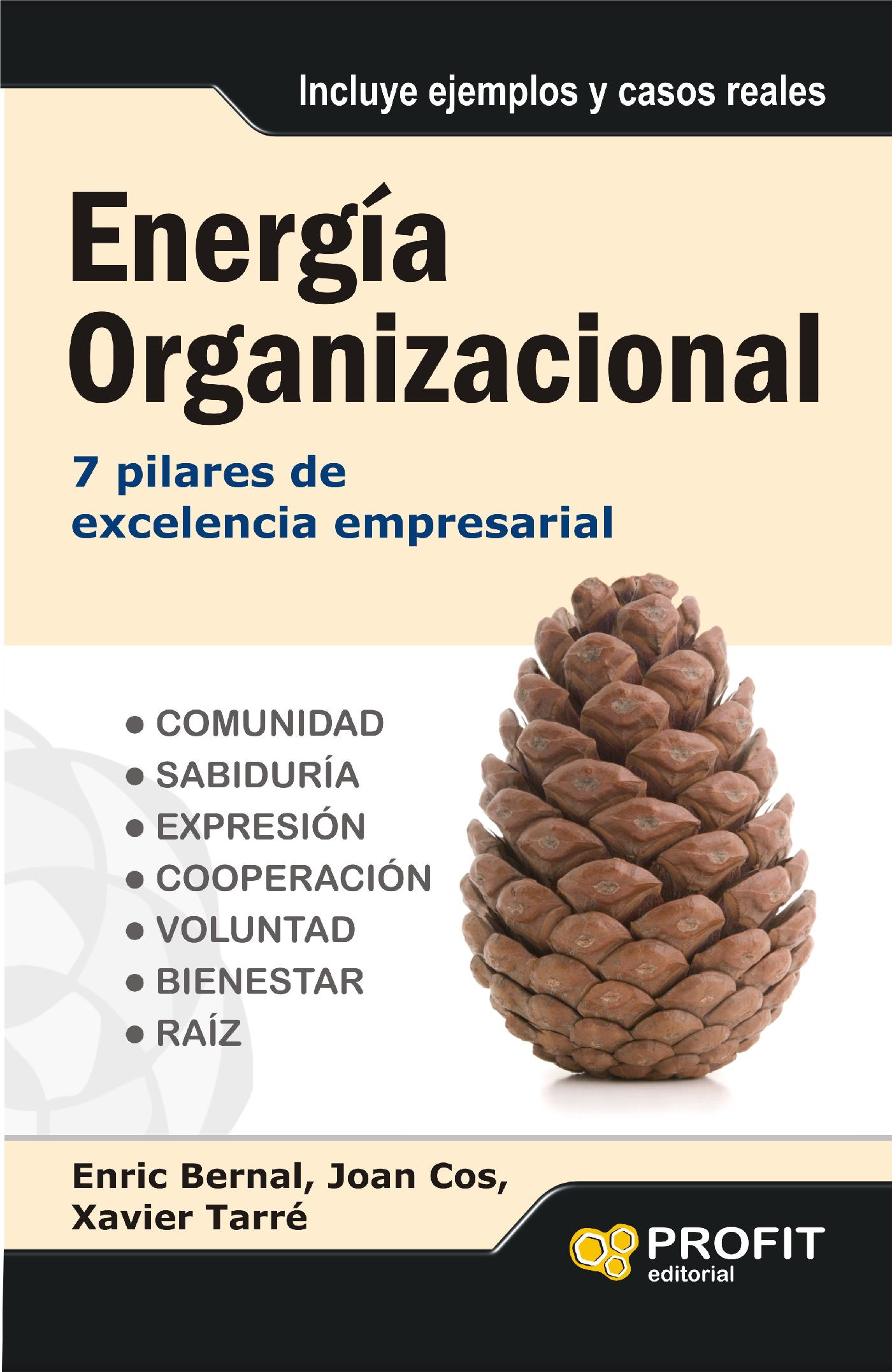 ENERGÍA ORGANIZACIONAL. EBOOK