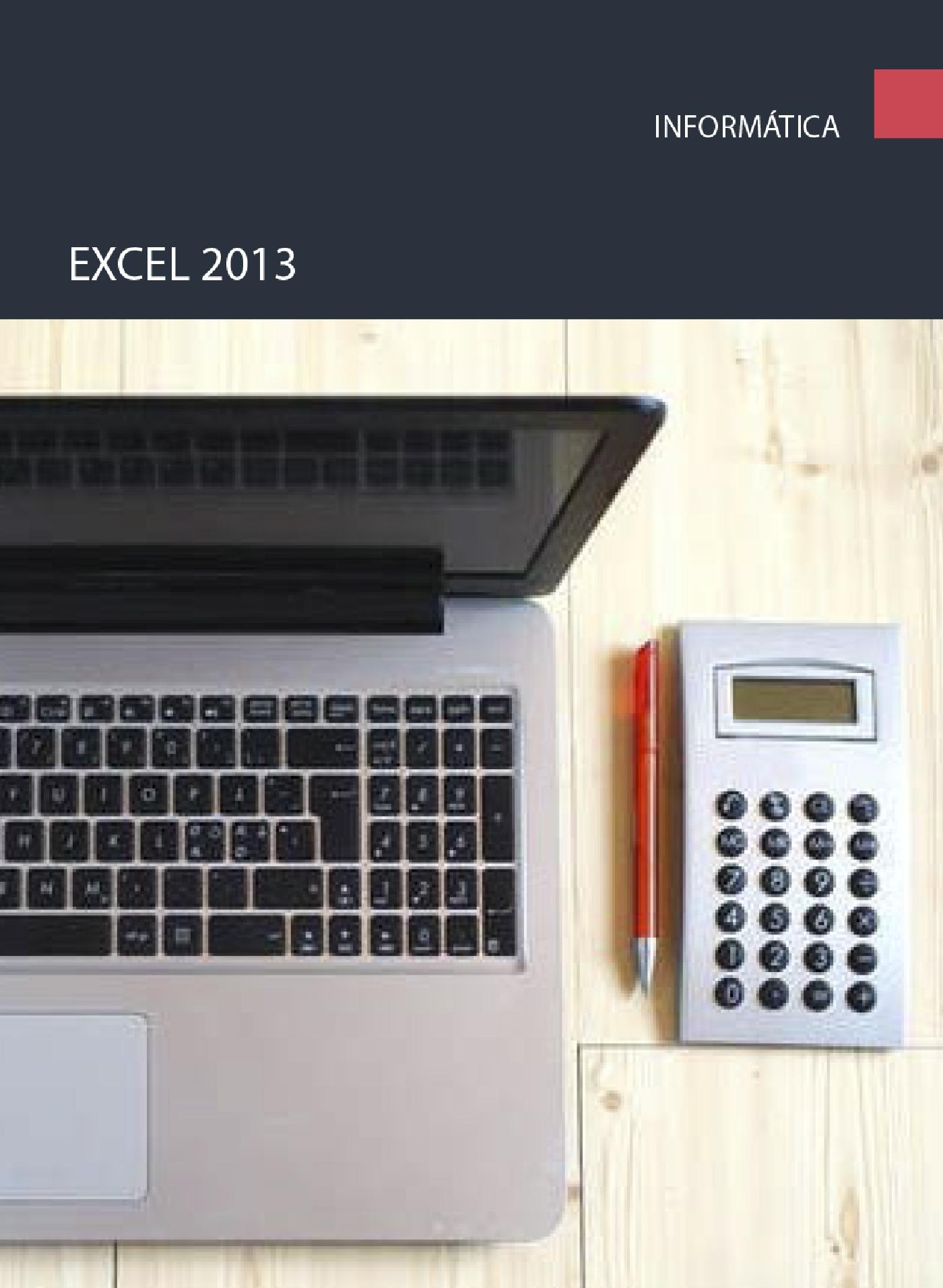 EXCEL 2013