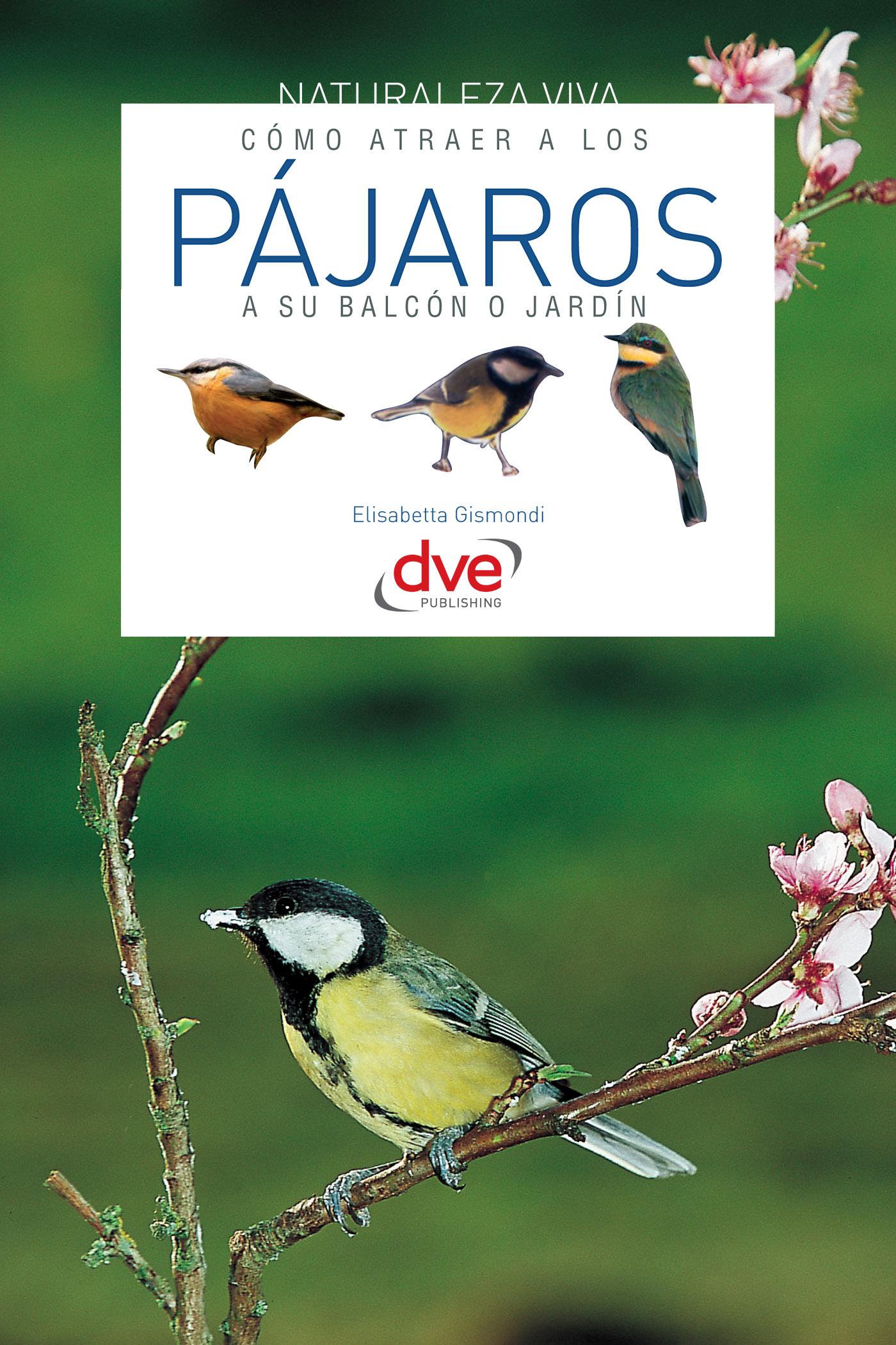 CÓMO ATRAER A LOS PÁJAROS A SU BALCÓN O JARDÍN