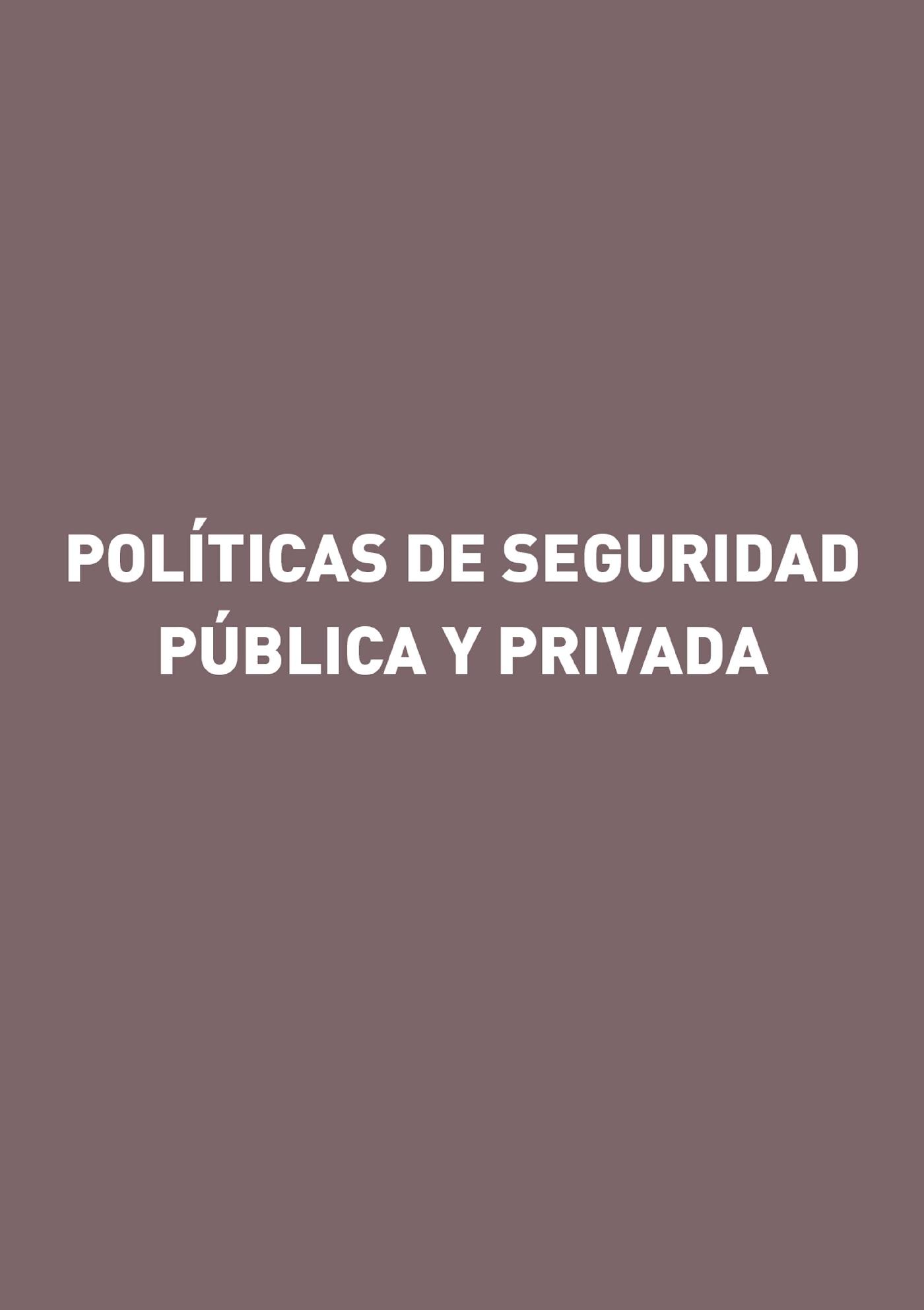 POLÍTICAS DE SEGURIDAD PÚBLICA Y PRIVADA