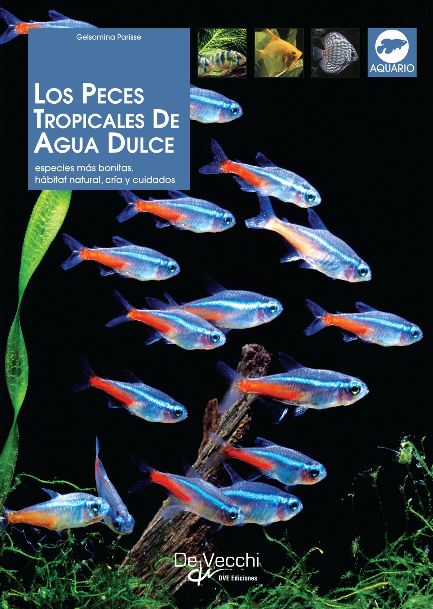 Los Peces Tropicales de Agua Dulce