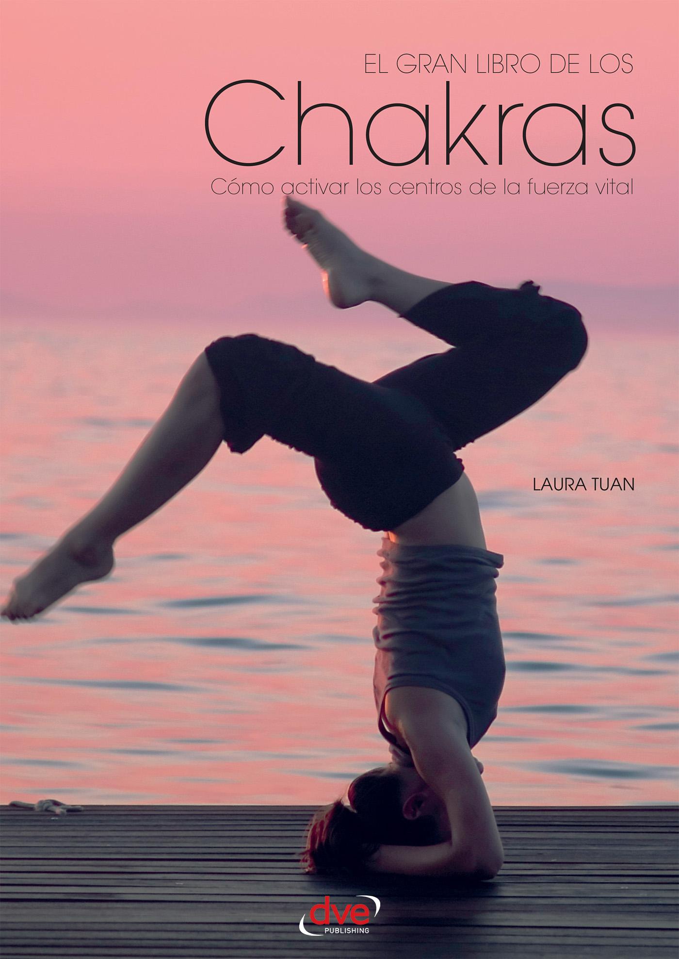 EL GRAN LIBRO DE LOS CHAKRAS