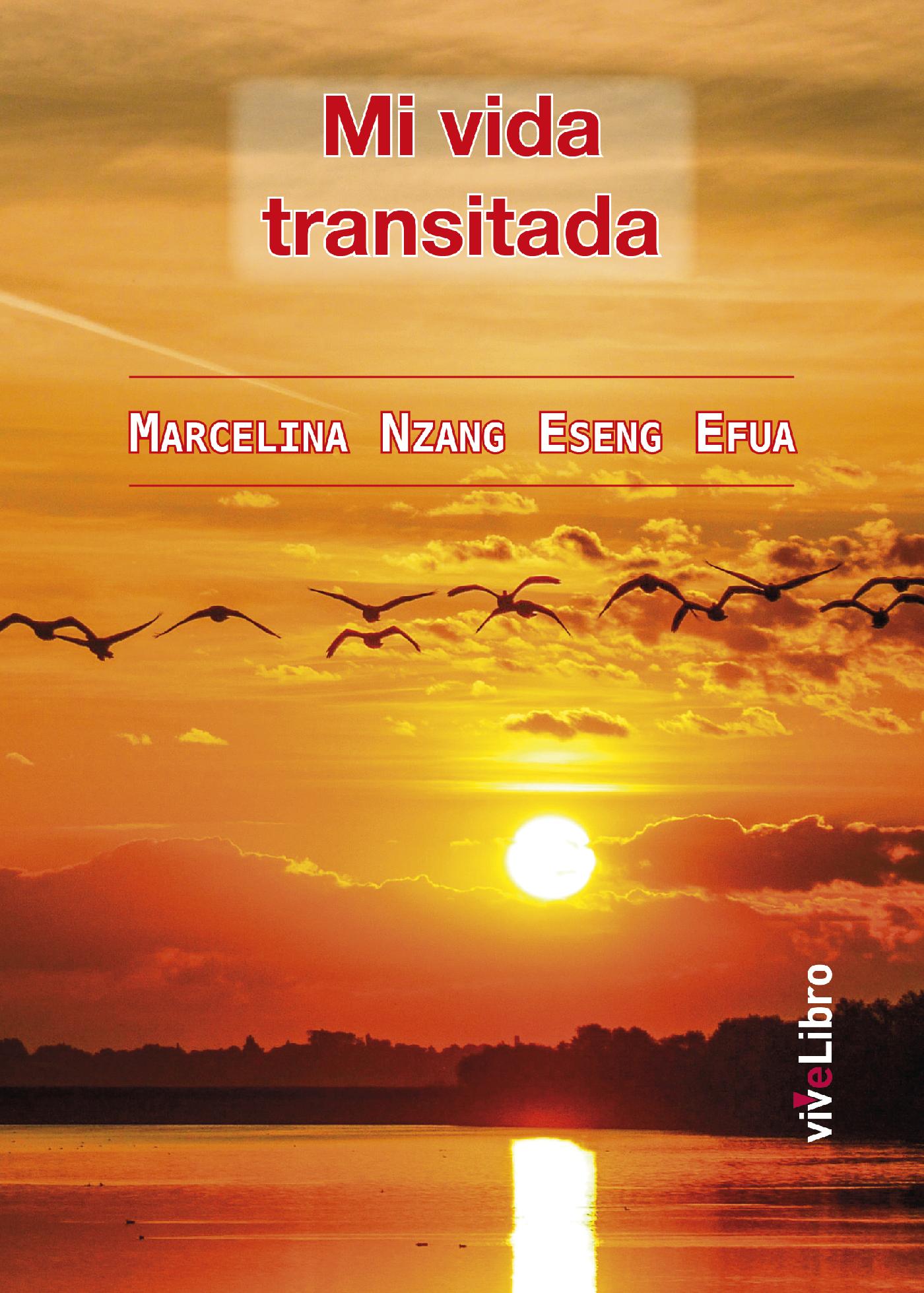 MI VIDA TRANSITADA