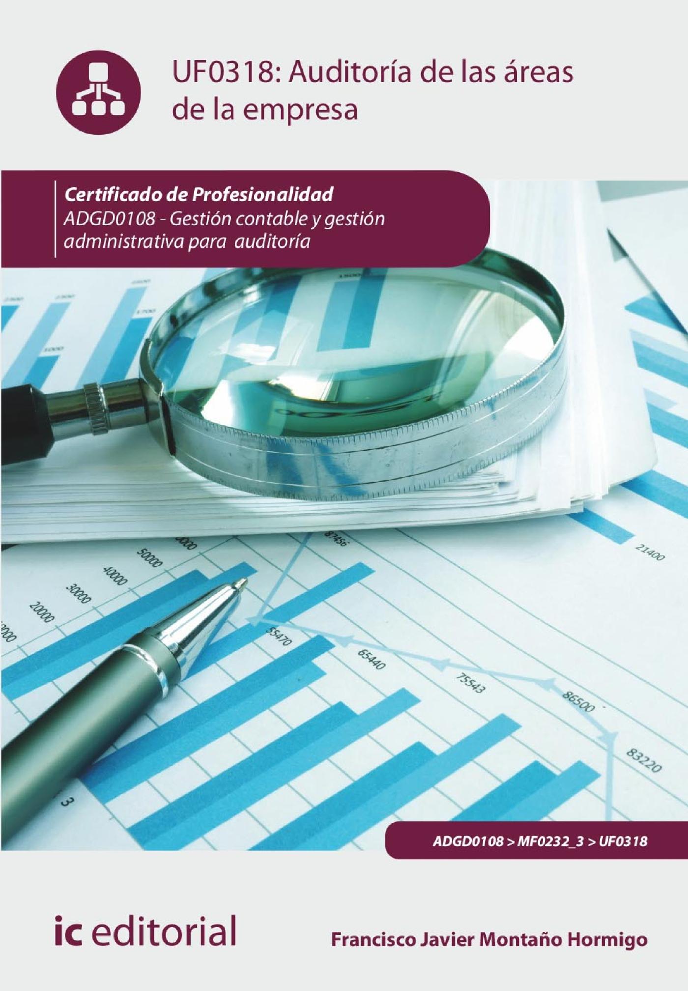 AUDITORÍA DE LAS ÁREAS DE LA EMPRESA. ADGD0108