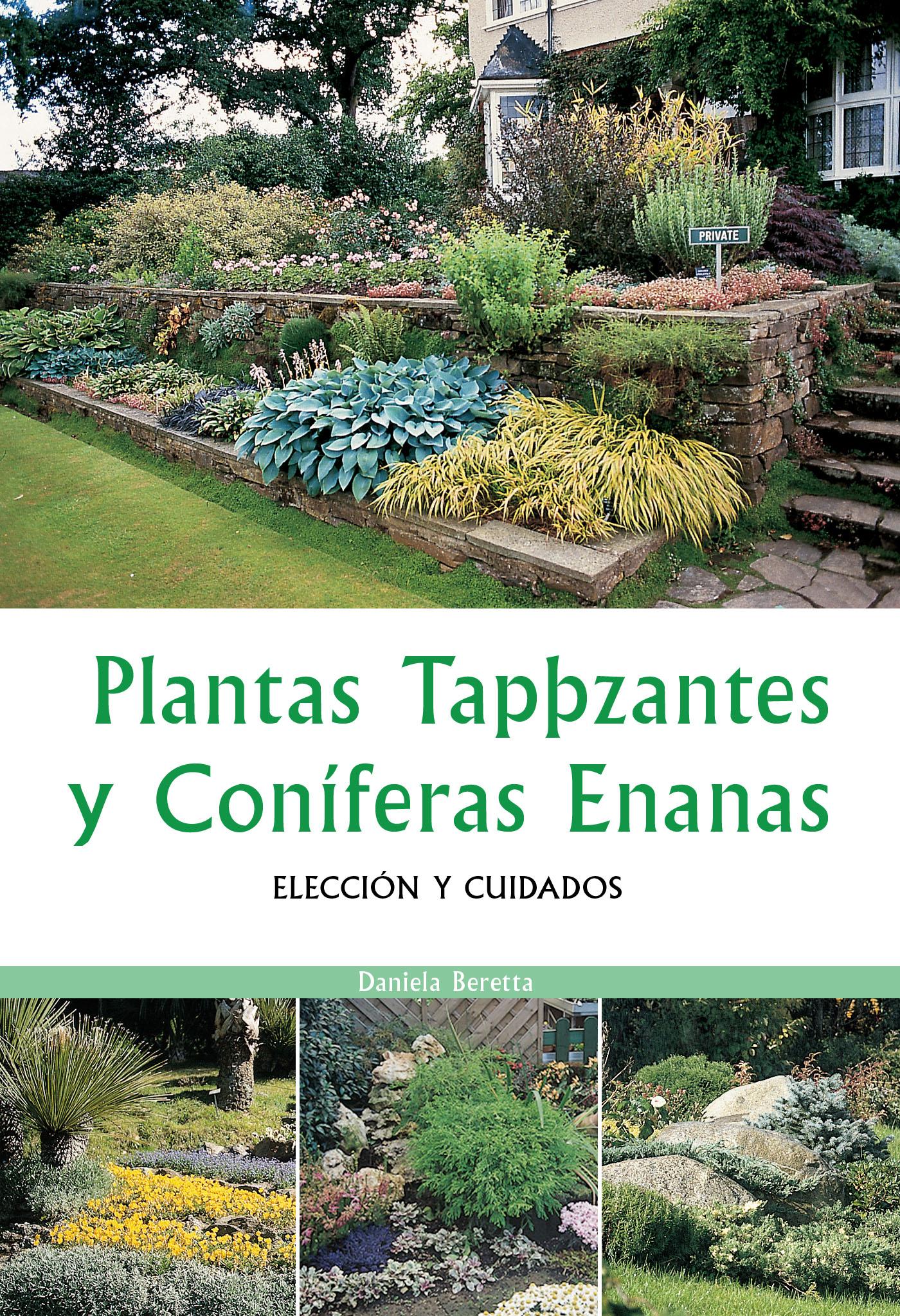 PLANTAS TAPIZANTES Y CONÍFERAS ENANAS