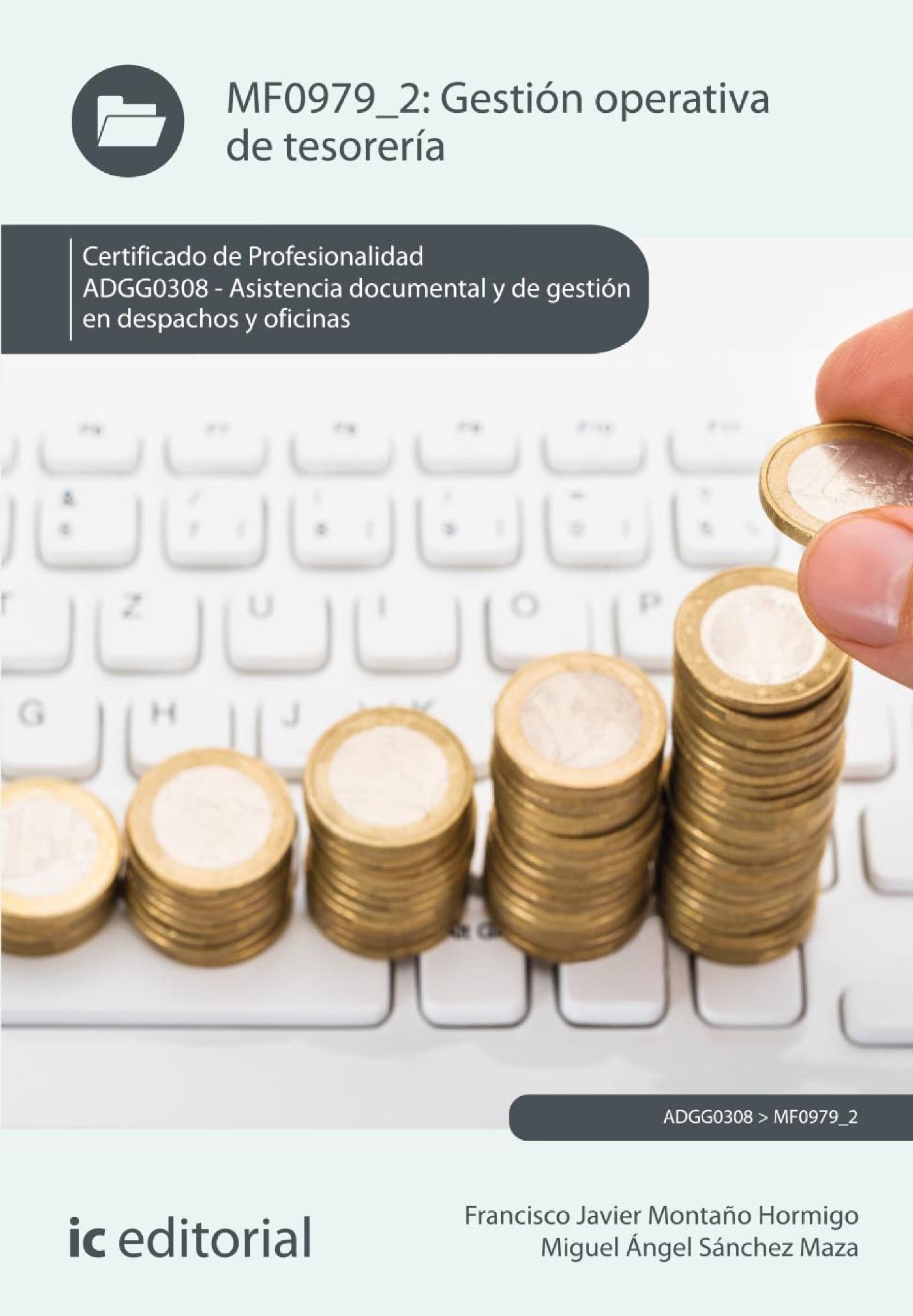 GESTIÓN OPERATIVA DE TESORERÍA. ADGG0308 