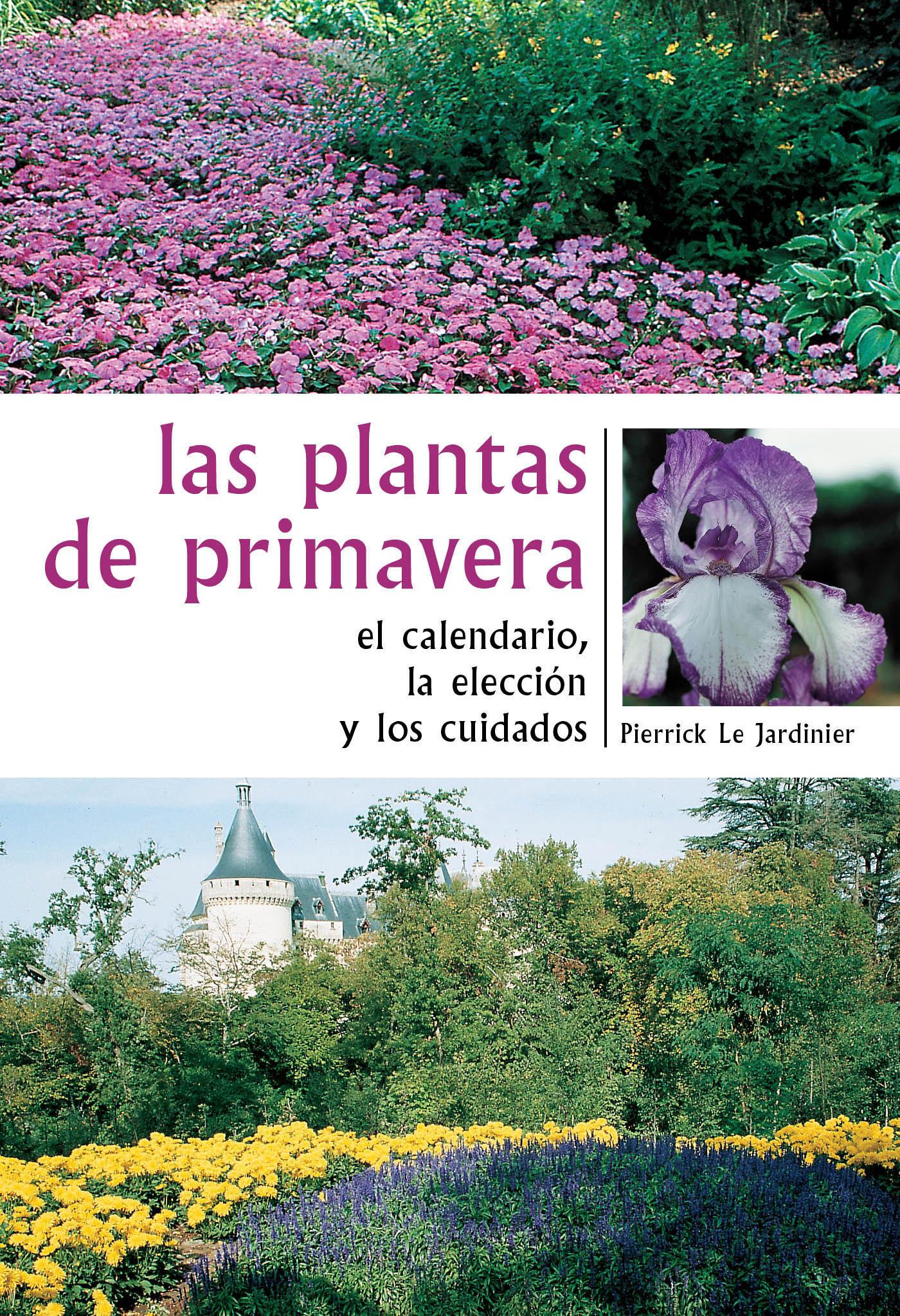 LAS PLANTAS DE PRIMAVERA. EL CALENDARIO, LA ELECCIÓN Y LOS CUIDADOS