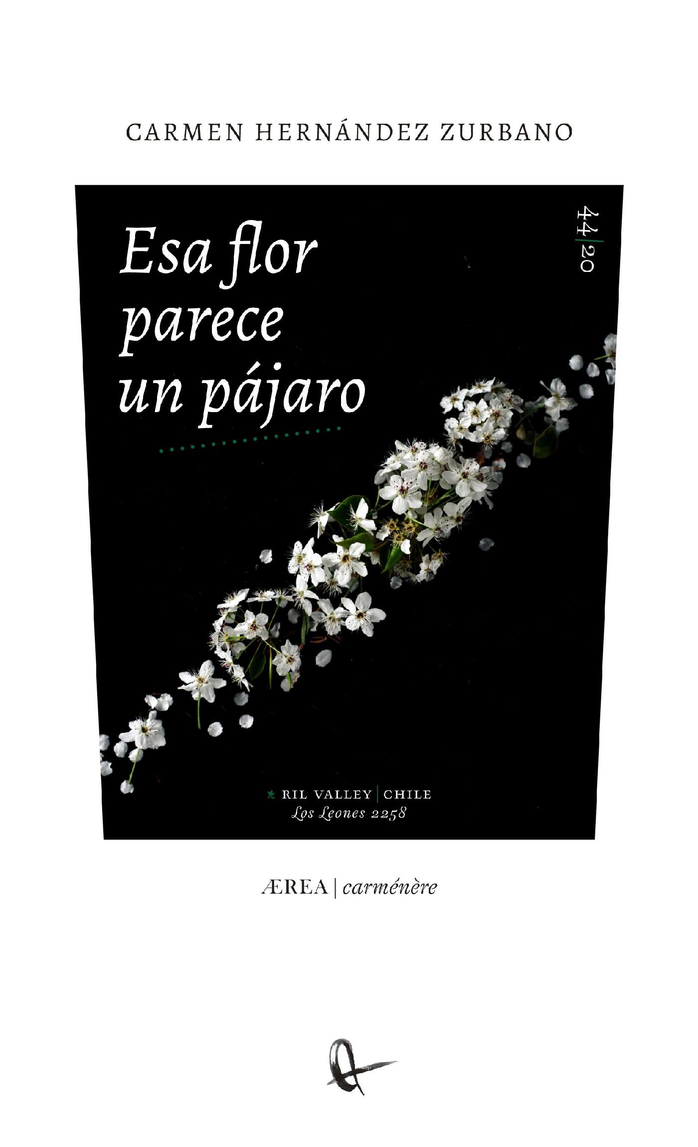 ESA FLOR PARECE UN PÁJARO