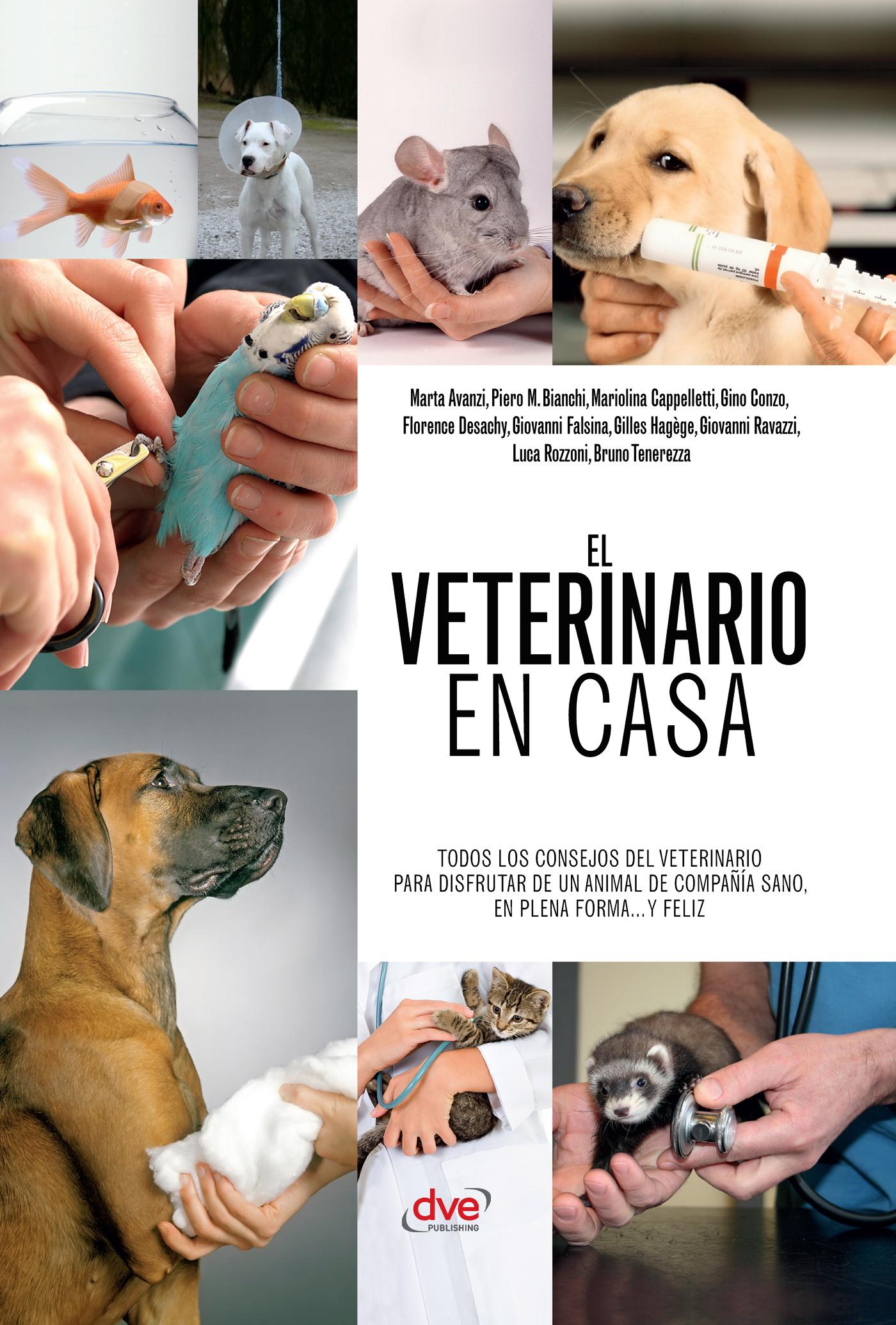 EL VETERINARIO EN CASA