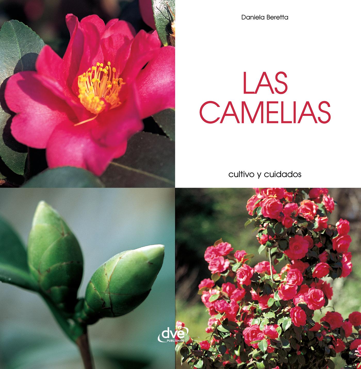 LAS CAMELIAS - CULTIVO Y CUIDADOS