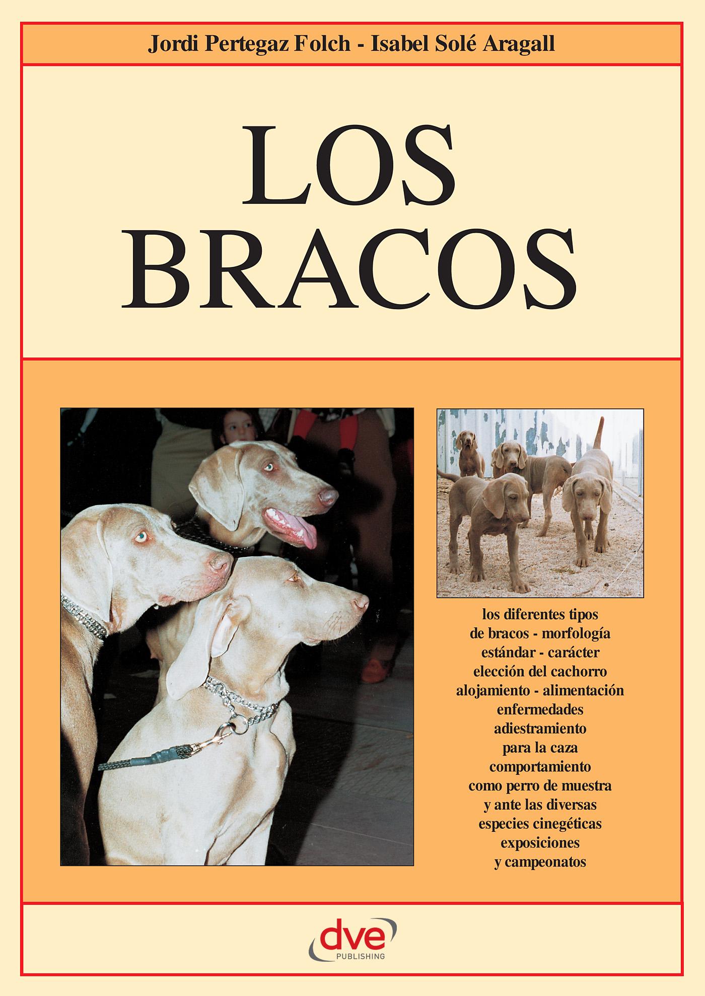 LOS BRACOS