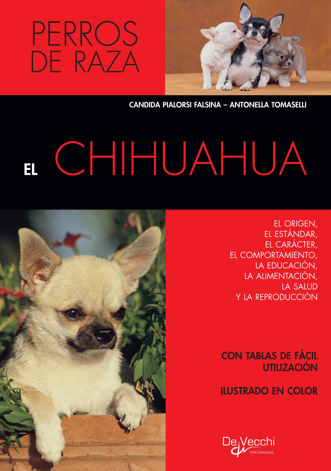 EL CHIHUAHUA