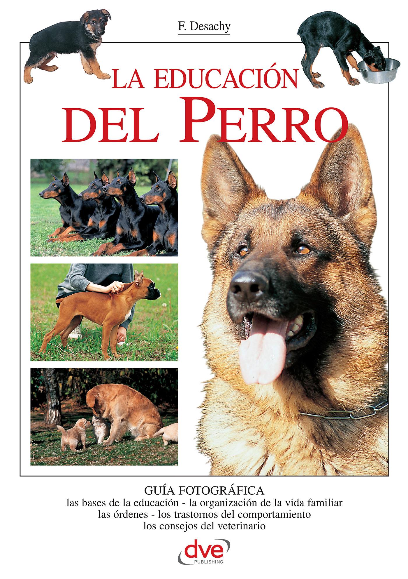 LA EDUCACIÓN DEL PERRO
