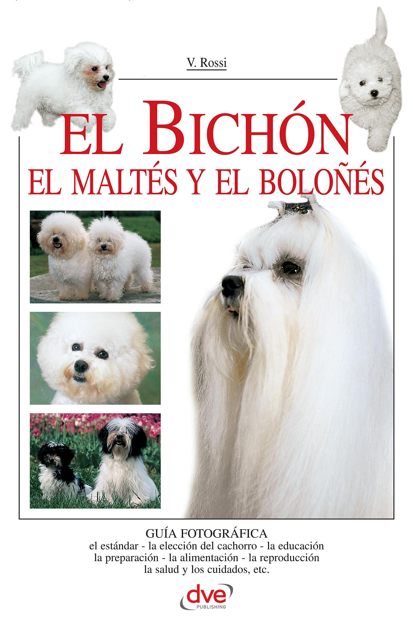 EL BICHÓN