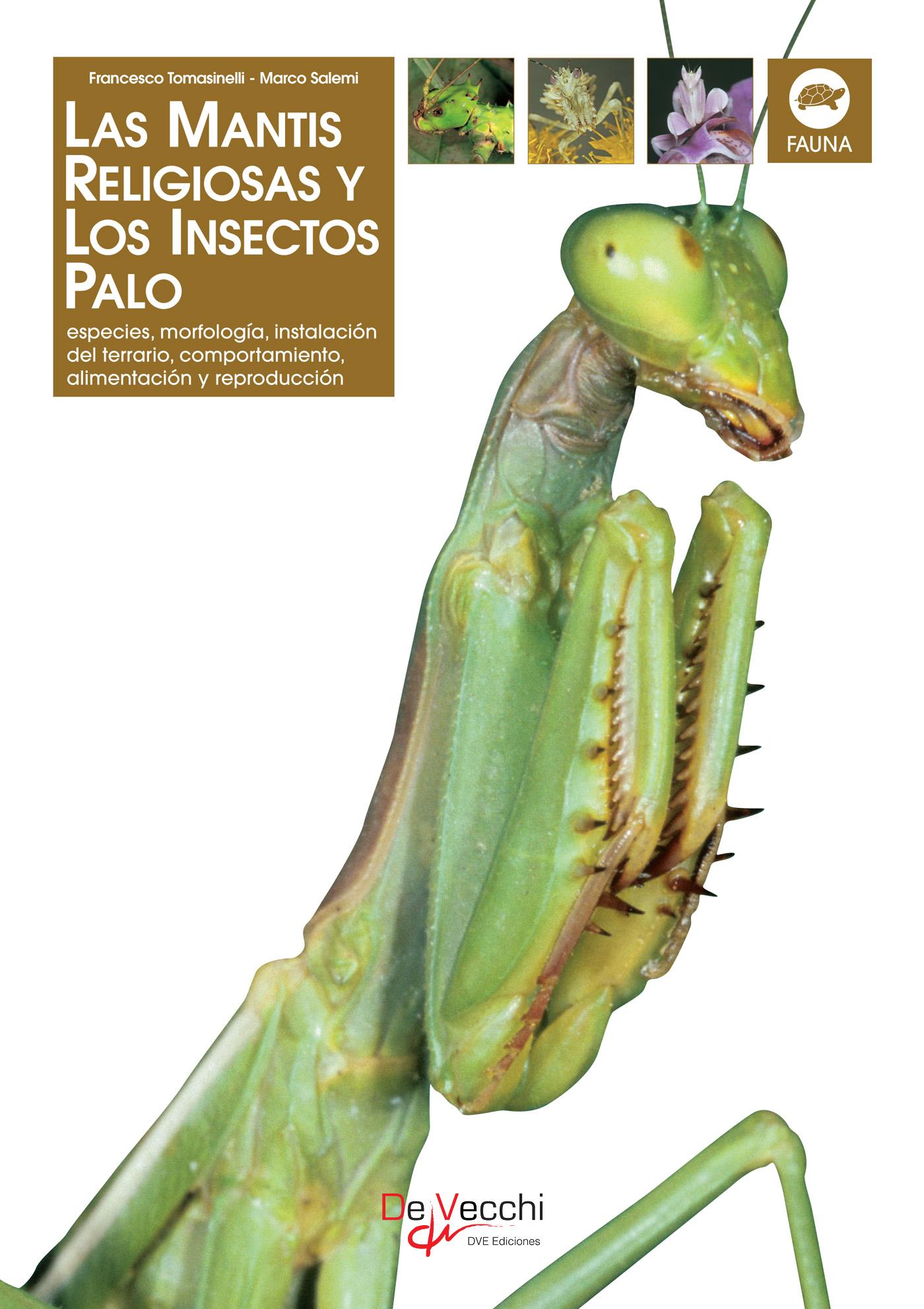 LA MANTIS RELIGIOSA Y LOS INSECTOS PALO