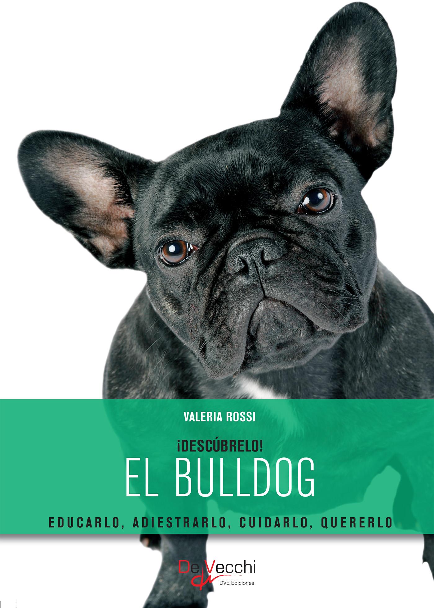 EL BULLDOG