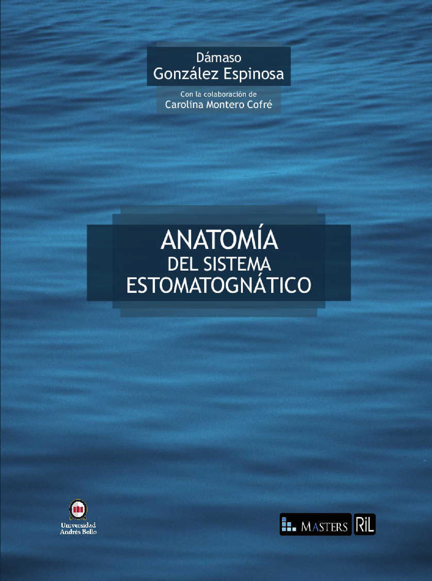 ANATOMÍA DEL SISTEMA ESTOMATOGNÁTICO