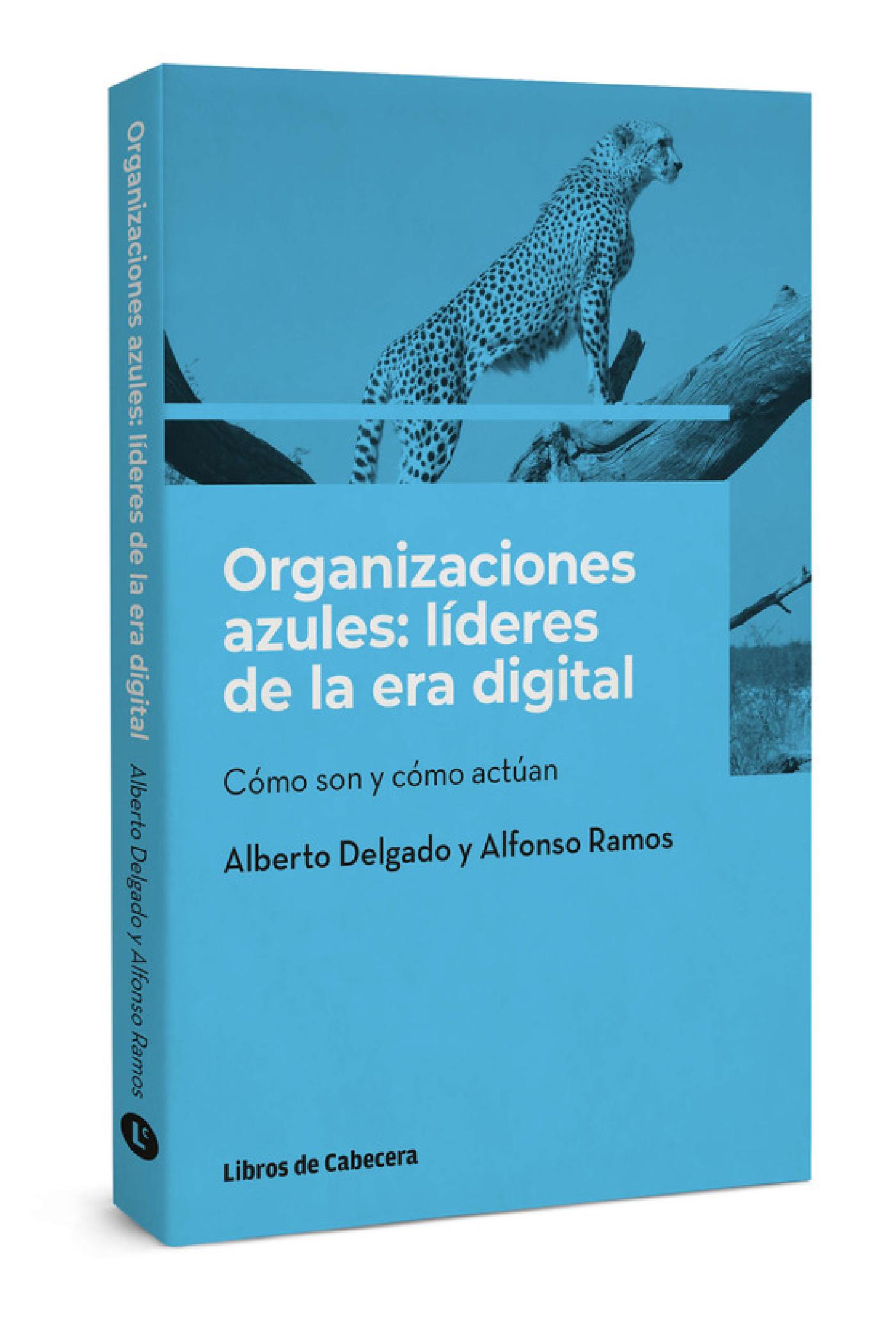 ORGANIZACIONES AZULES