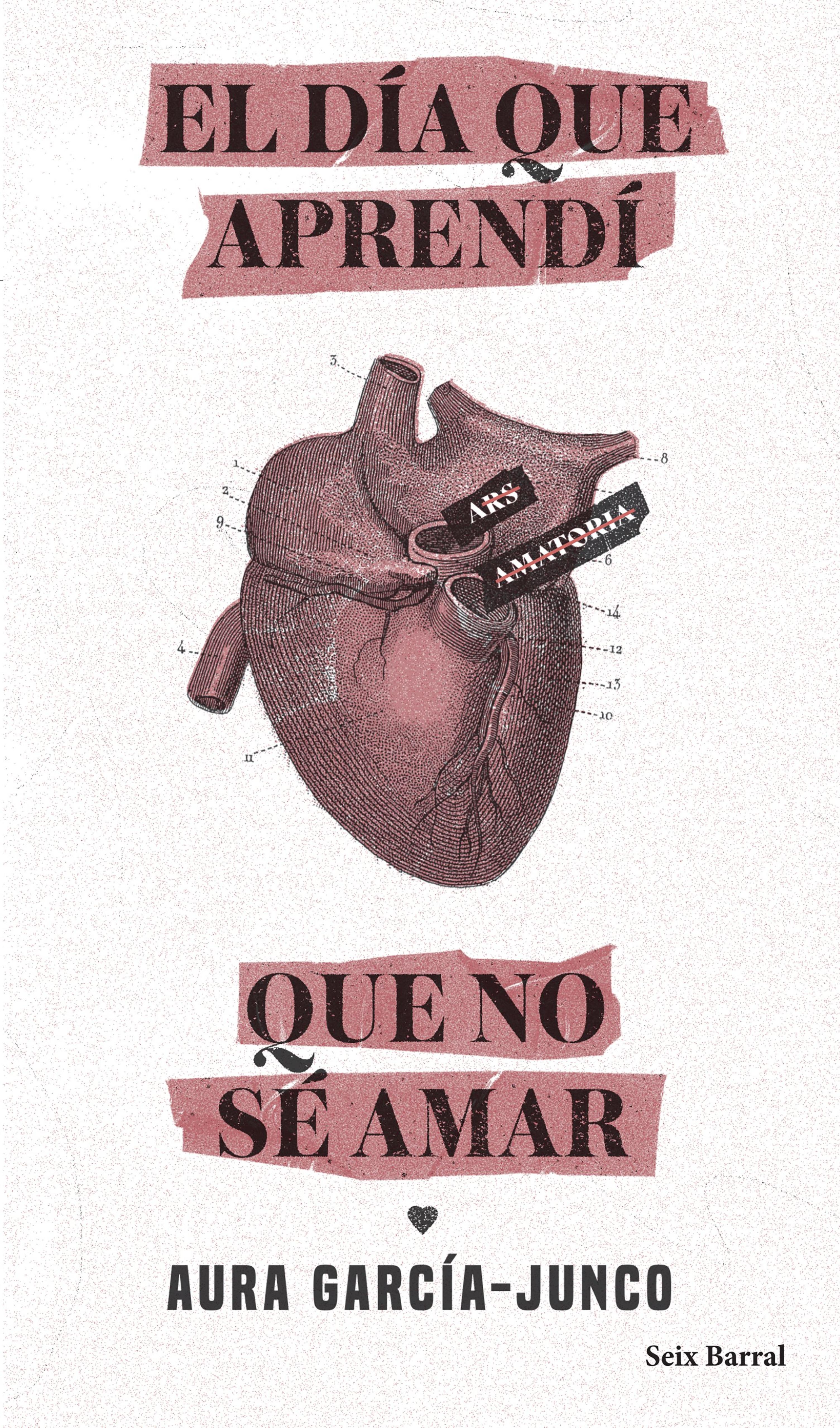 EL DÍA QUE APRENDÍ QUE NO SÉ AMAR