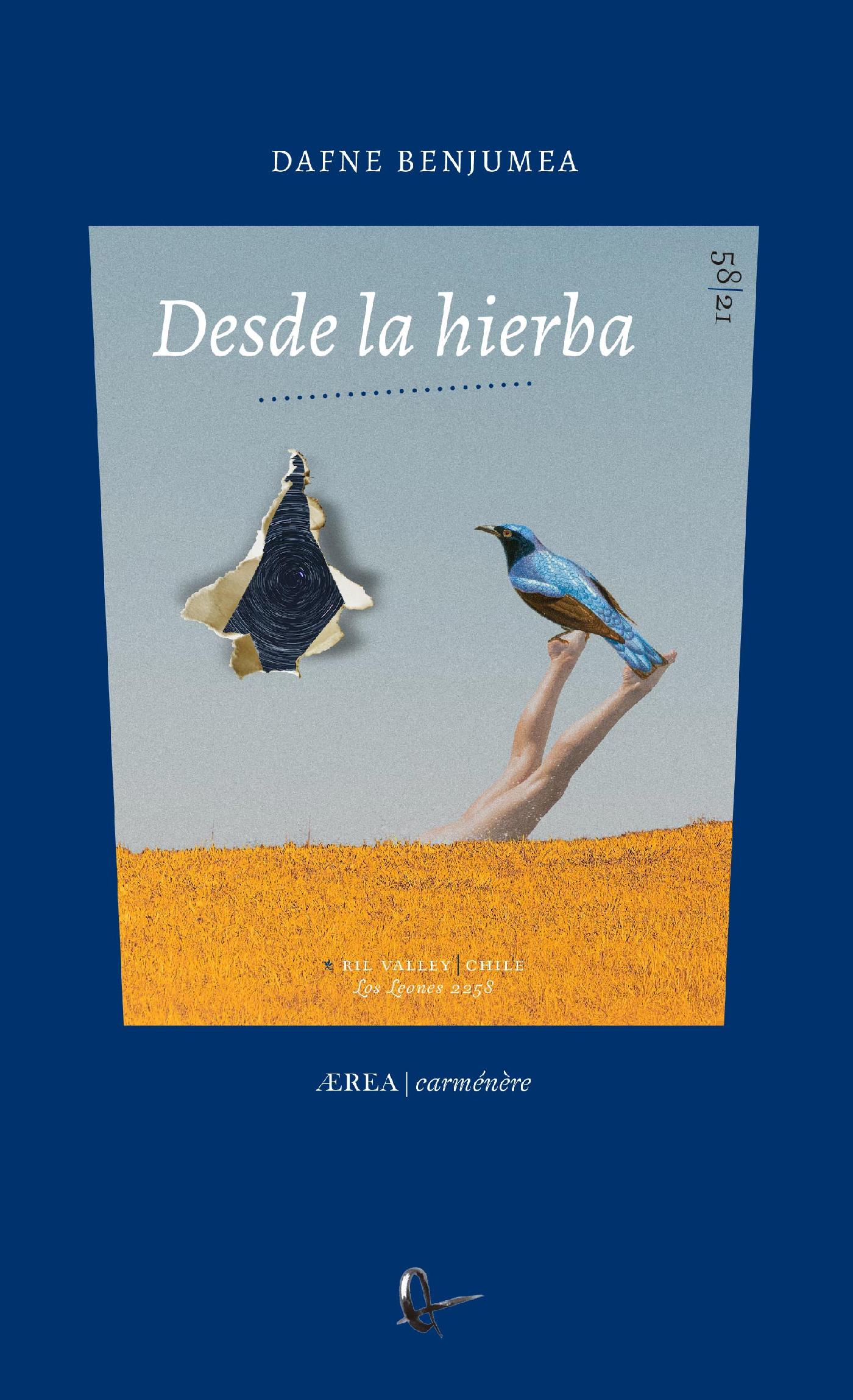 DESDE LA HIERBA