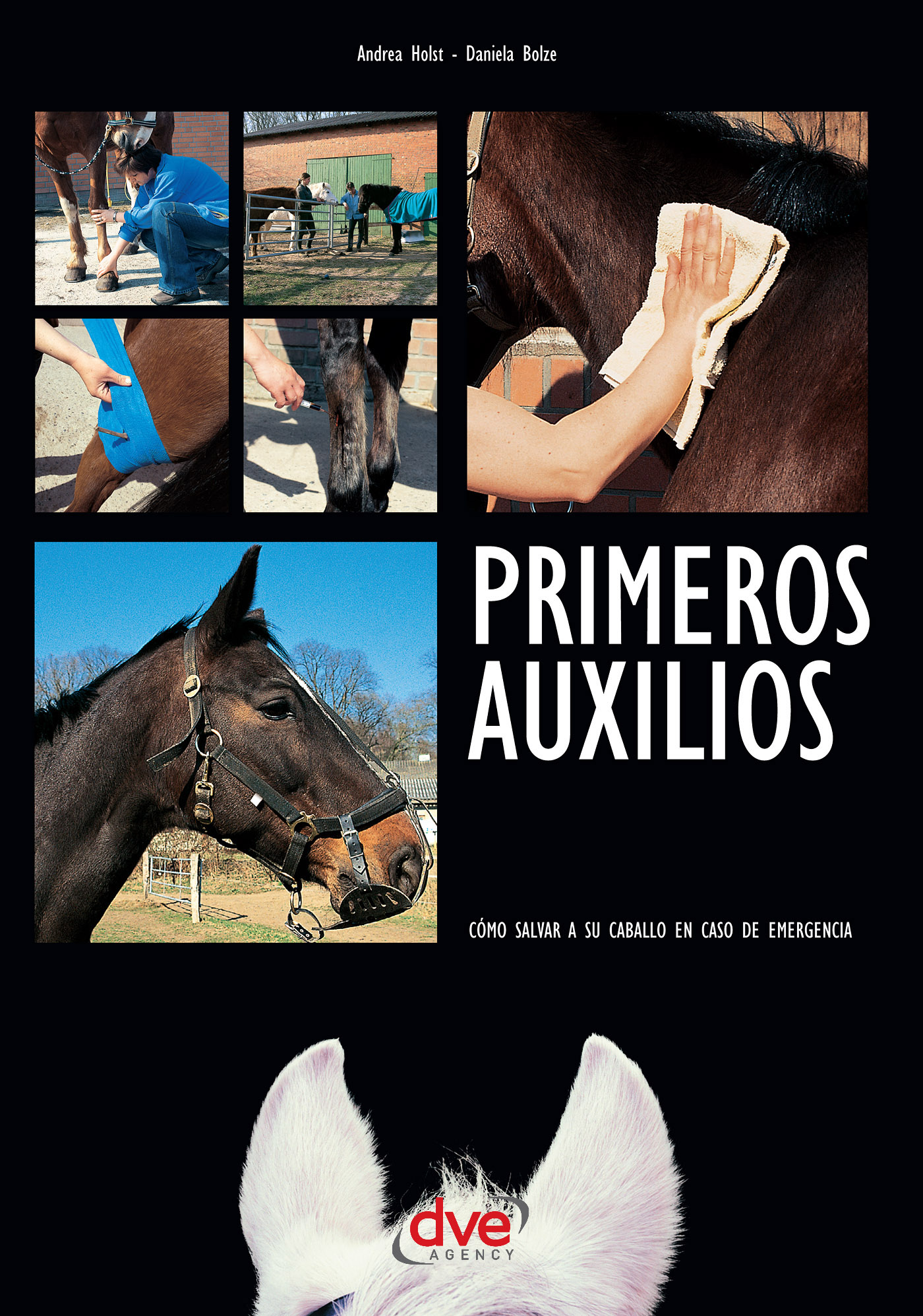 PRIMEROS AUXILIOS. CÓMO SALVAR A SU CABALLO EN CASO DE EMERGENCIA