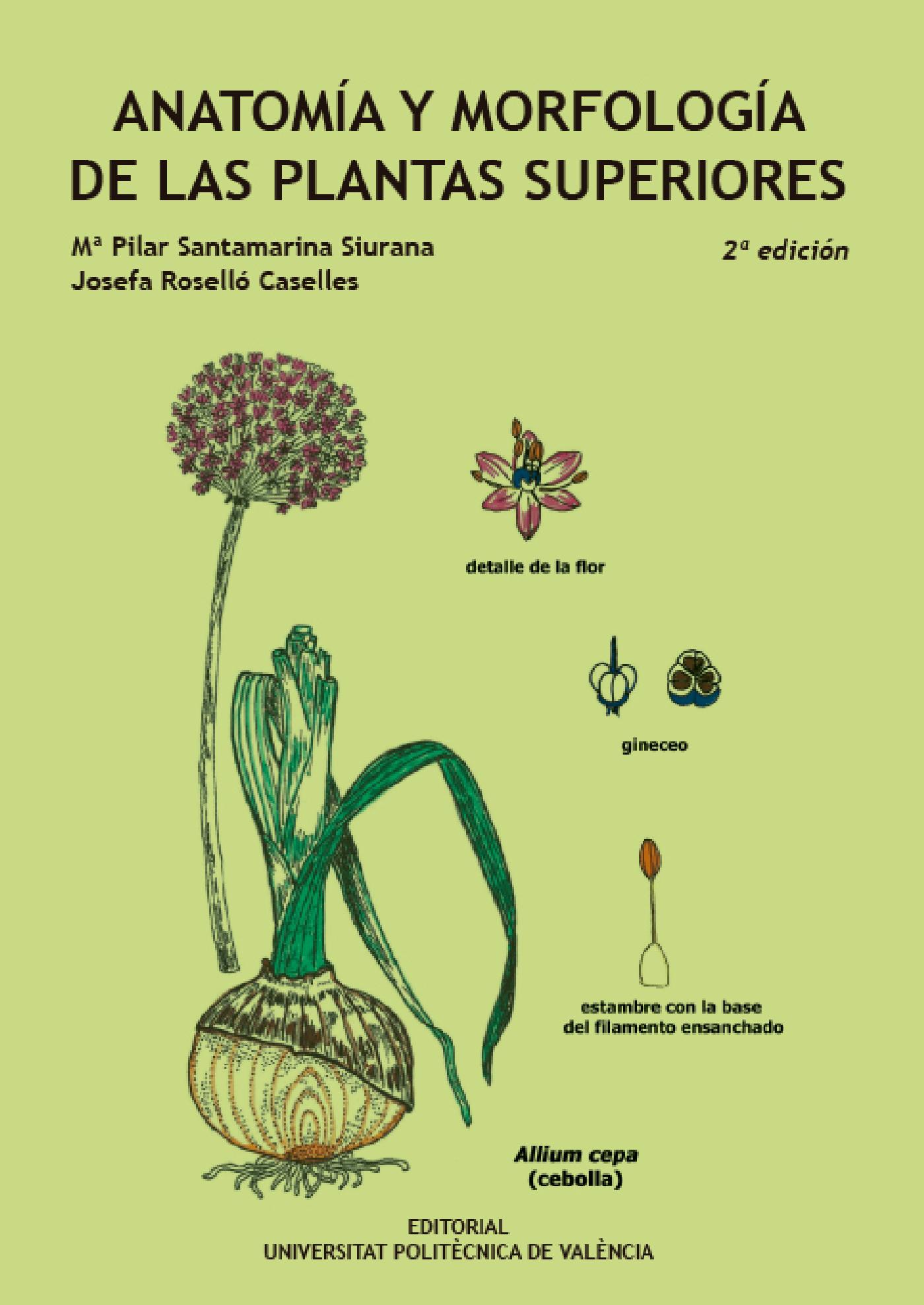 ANATOMÍA Y MORFOLOGÍA DE LAS PLANTAS SUPERIORES