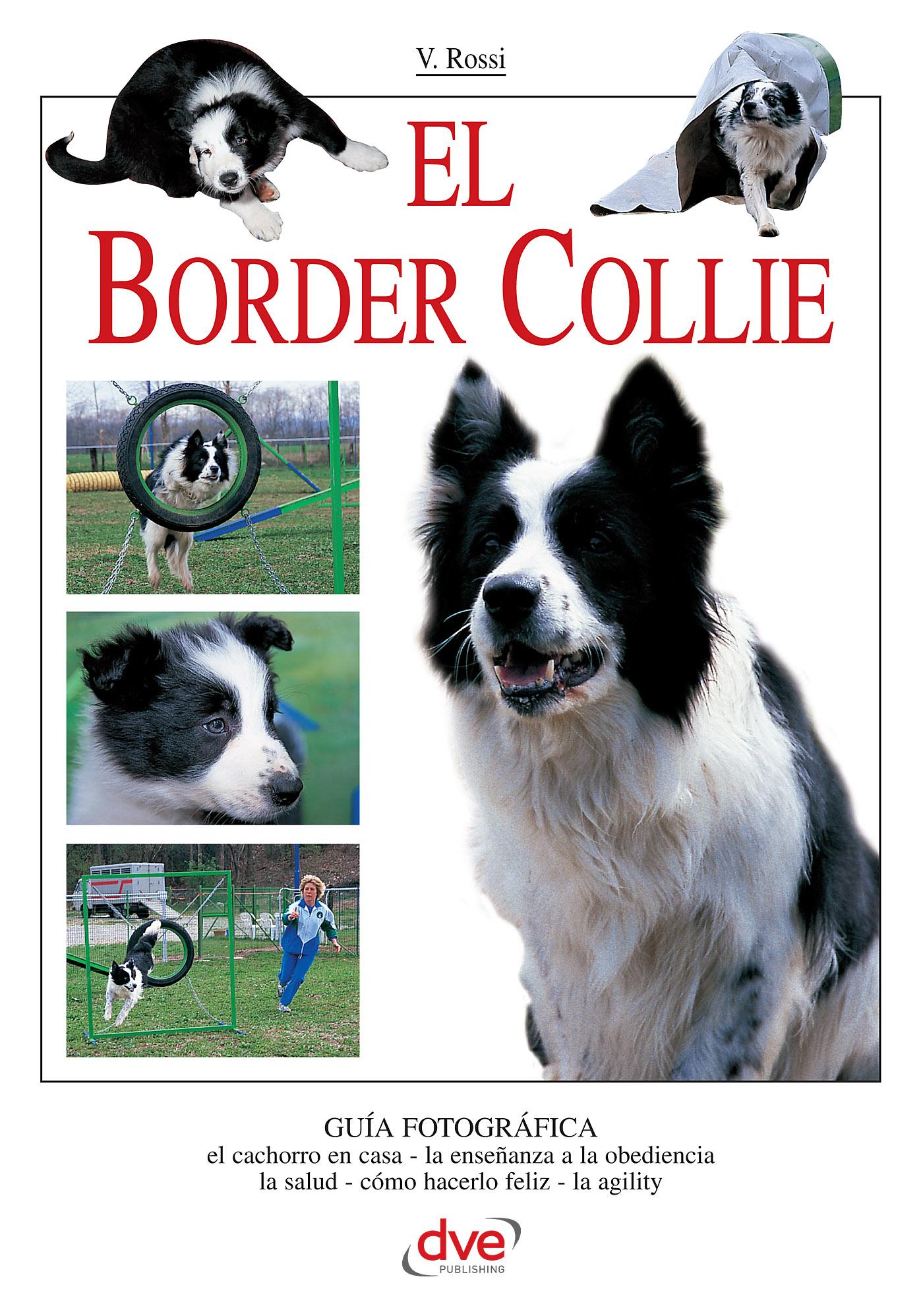 EL BORDER COLLIE