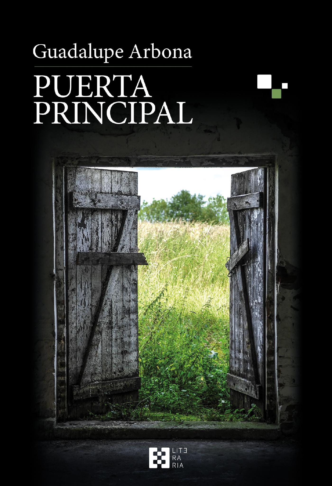 PUERTA PRINCIPAL 
