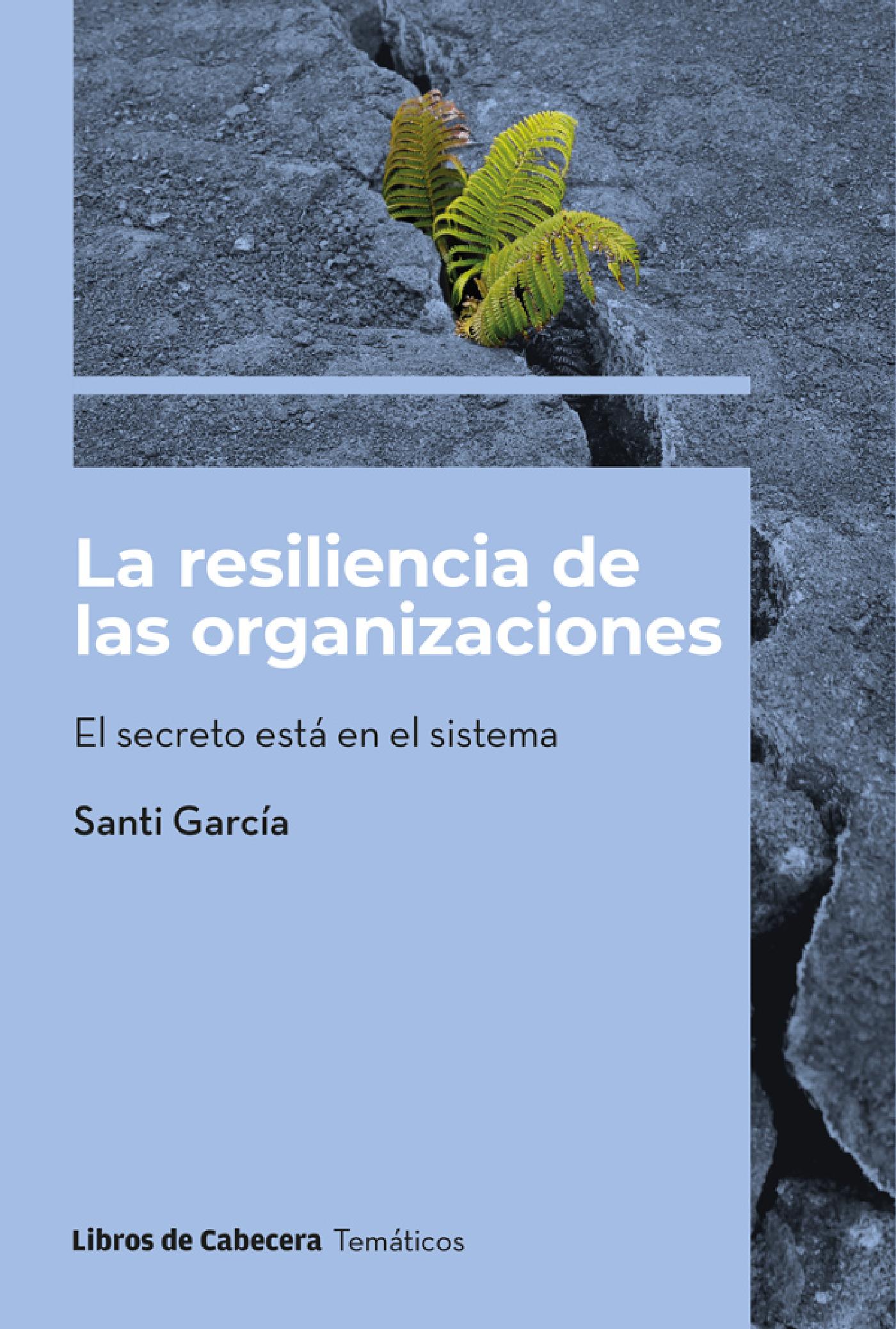 LA RESILIENCIA DE LAS ORGANIZACIONES 