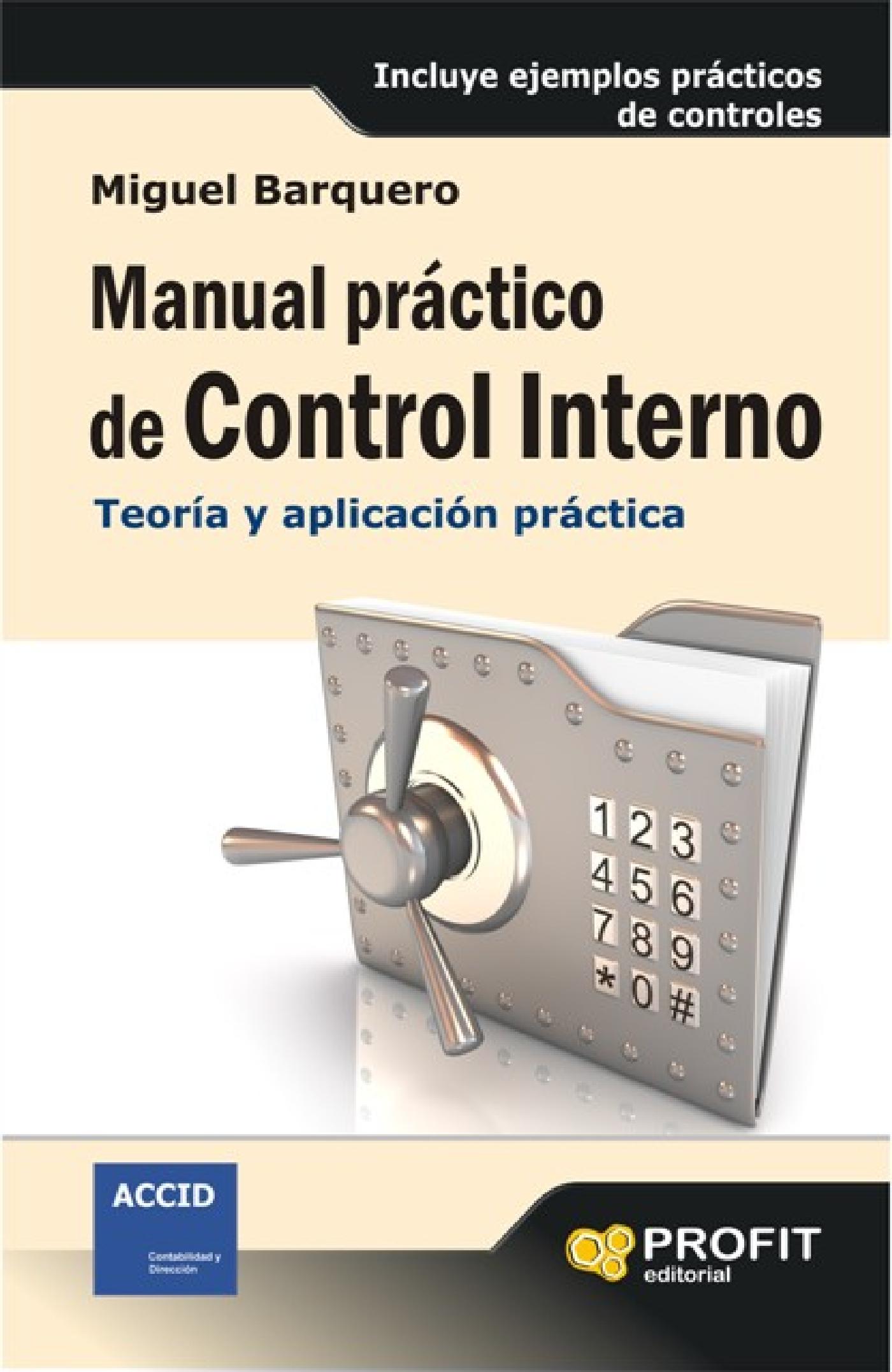 MANUAL PRACTICO DE CONTROL INTERNO. EBOOK