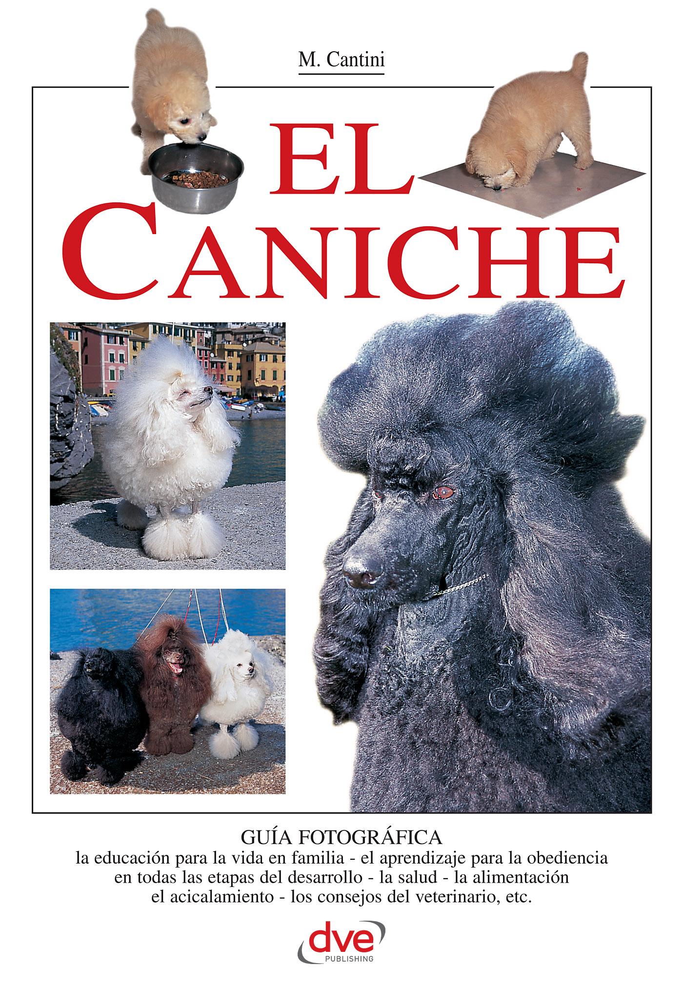 EL CANICHE