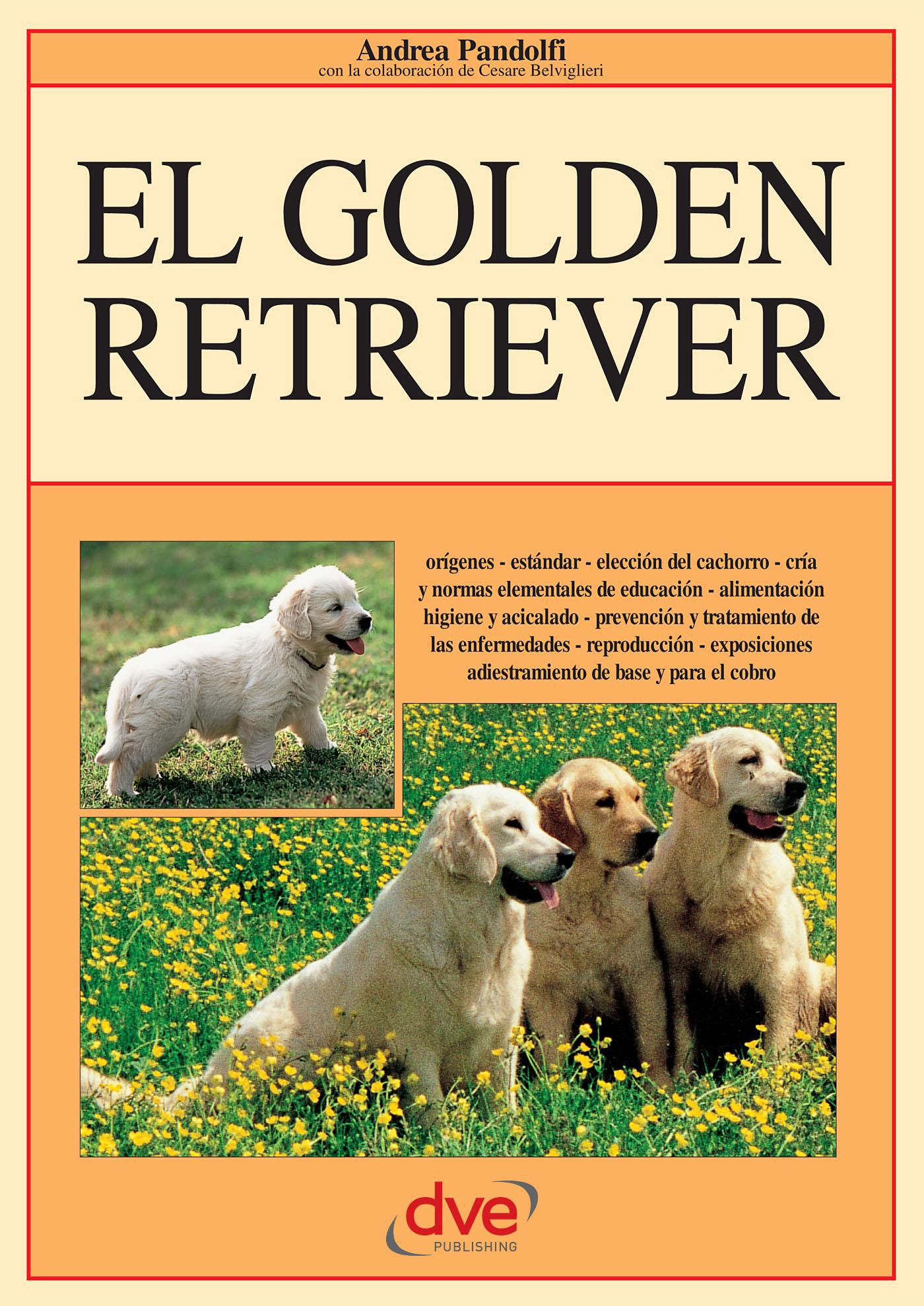 EL GOLDEN RETRIEVER: ORÍGENES - ESTÁNDAR - ELECCIÓN DEL CACHORRO - CRÍA Y NORMAS ELEMENTALES DE EDUCACIÓN - ALIMENTACIÓN HIGIENE