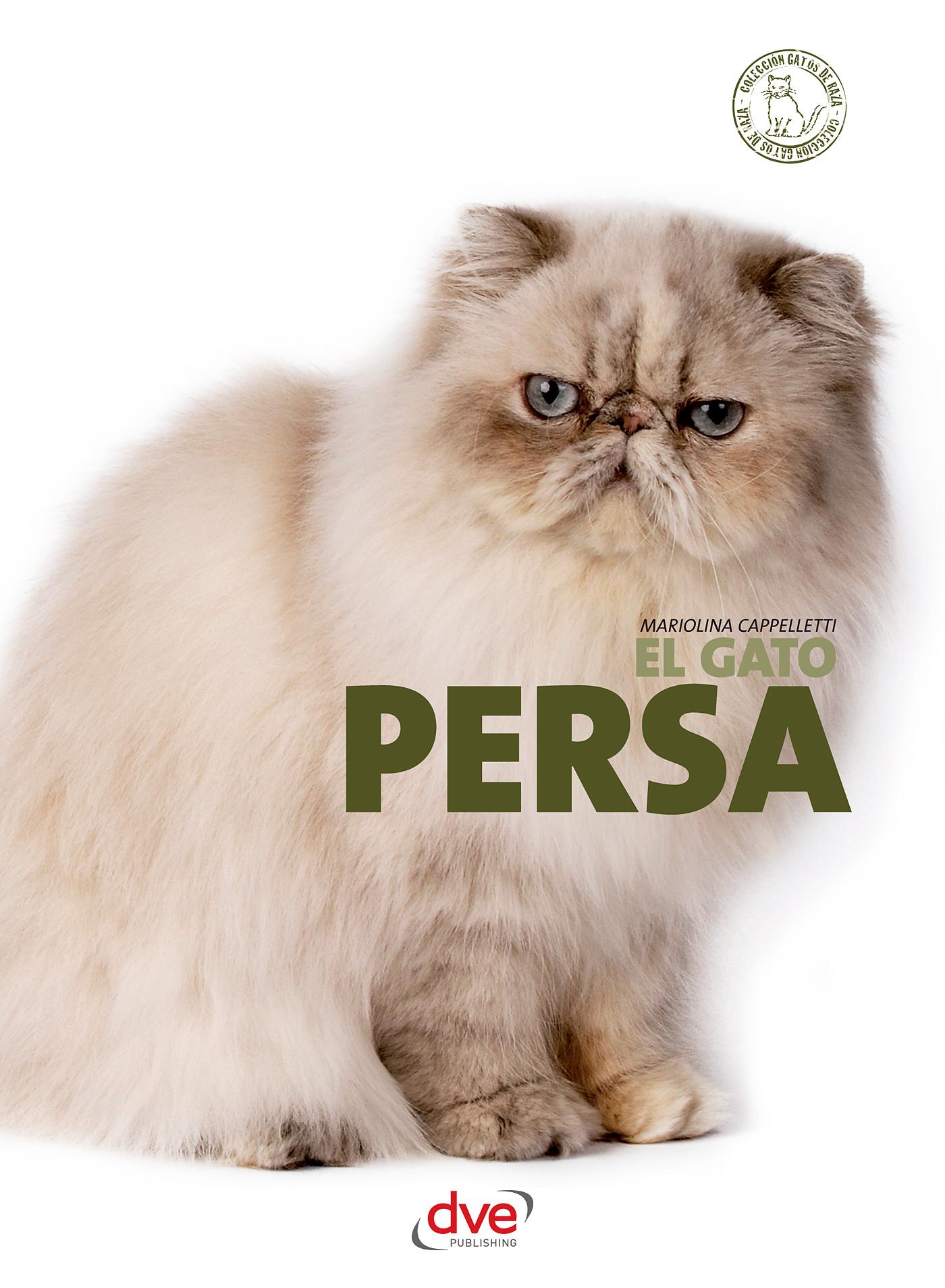 EL GATO PERSA
