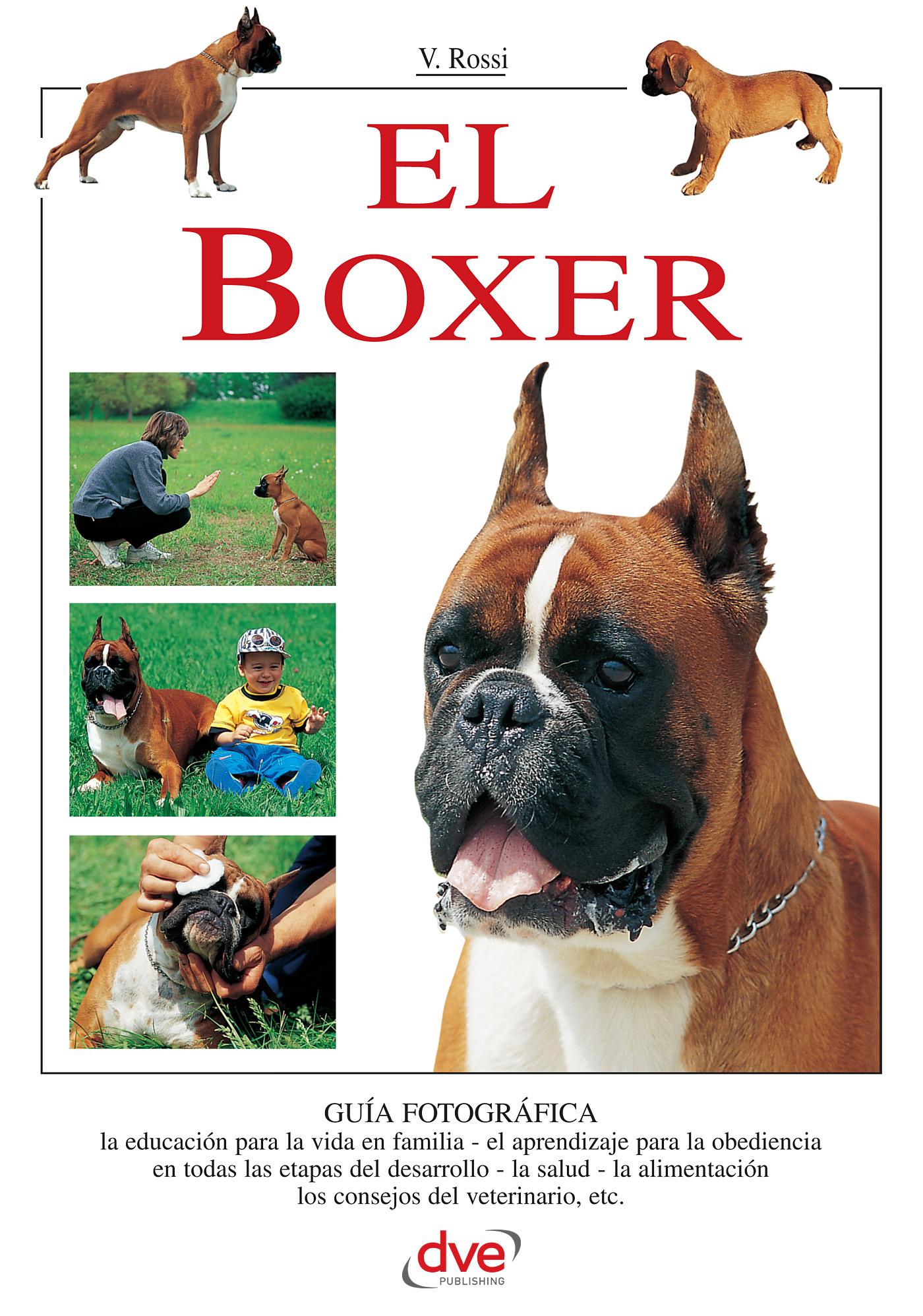 EL BOXER