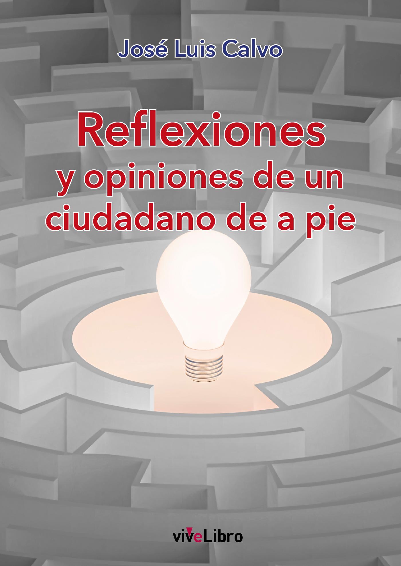 REFLEXIONES Y OPINIONES DE UN CIUDADANO DE A PIE