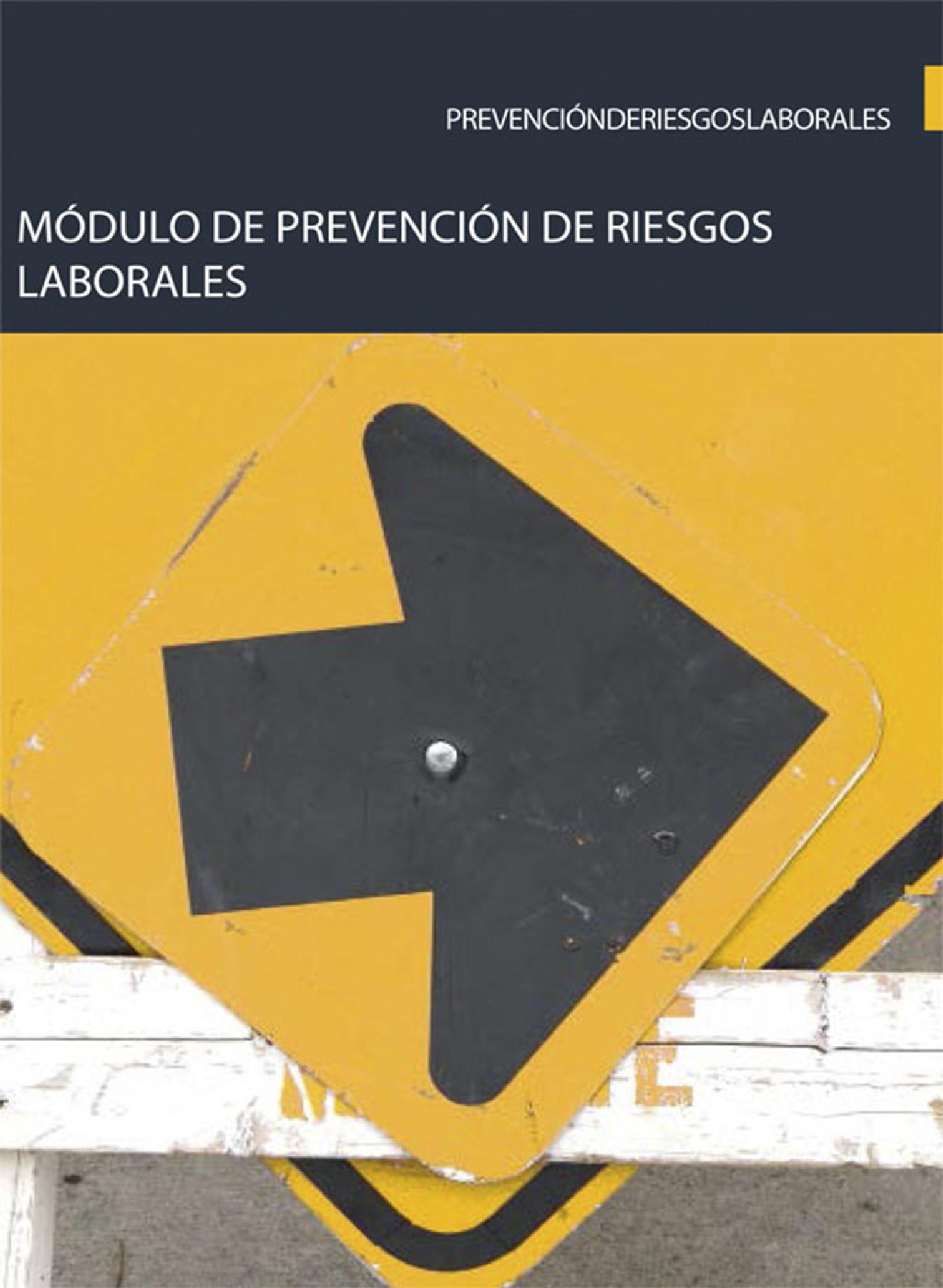 MÓDULO DE PREVENCIÓN DE RIESGOS LABORALES